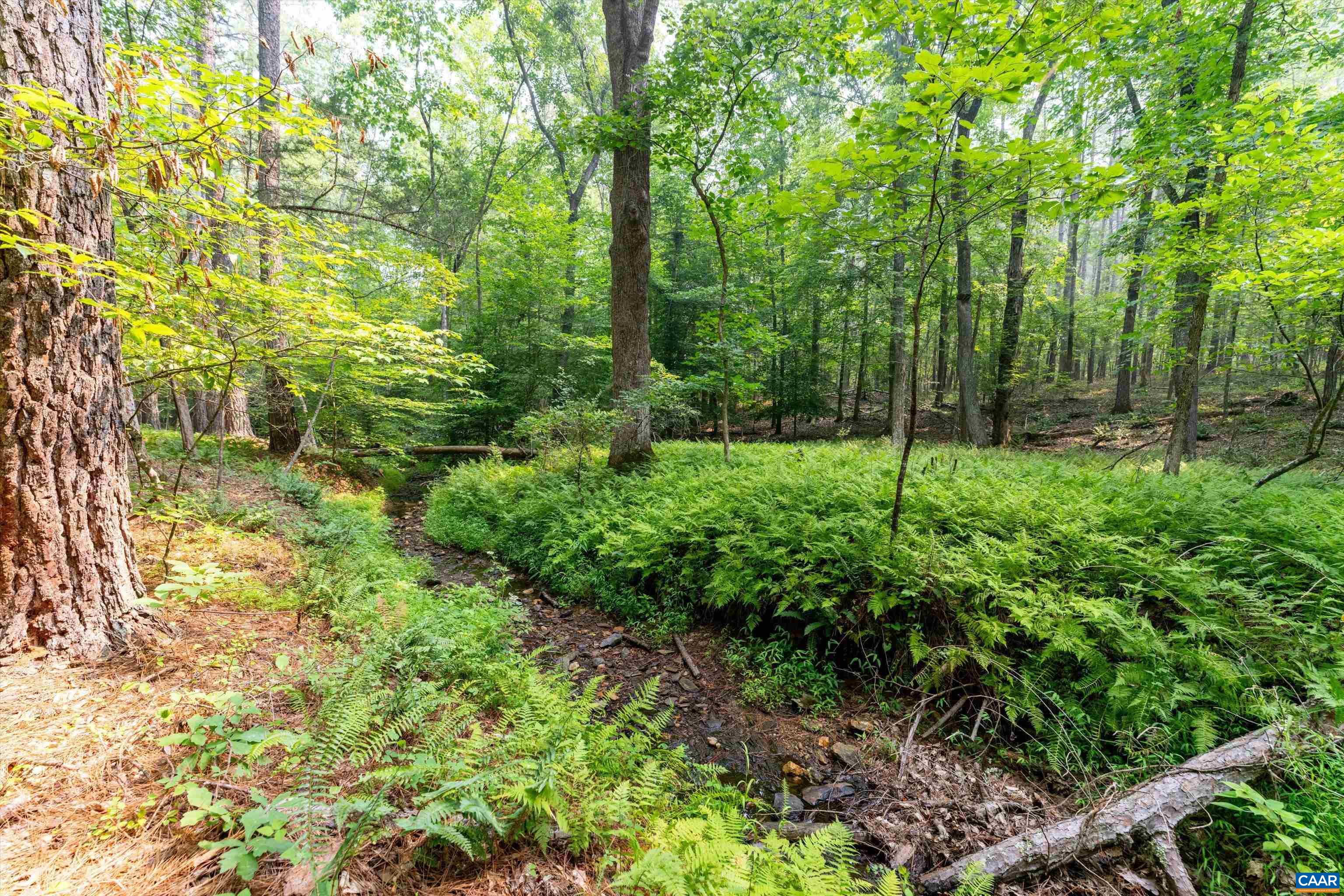 8 PINEY MOUNTAIN LN, PALMYRA, Virginia 22963, ,Land,8 PINEY MOUNTAIN LN,679989 MLS # 679989