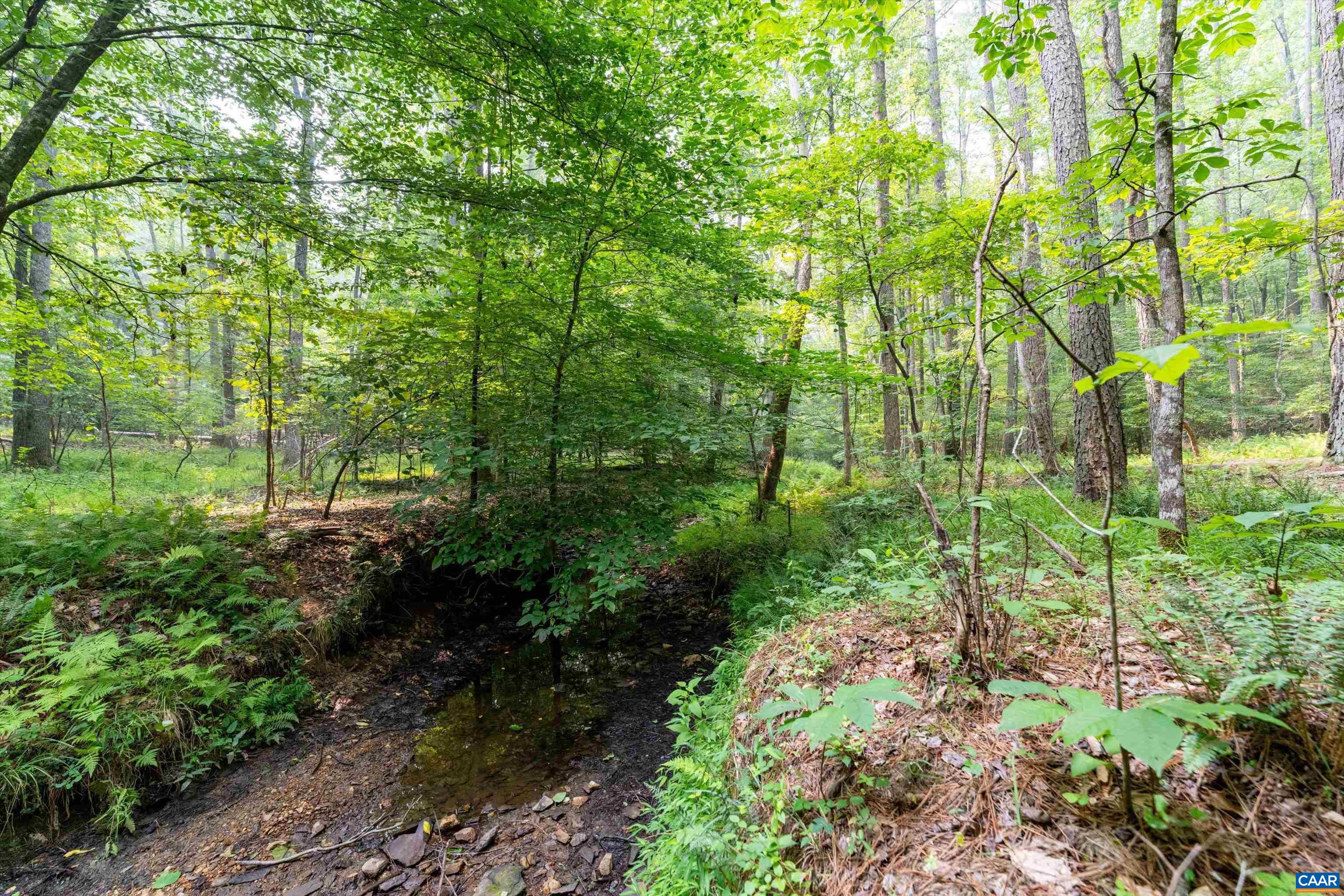 8 PINEY MOUNTAIN LN, PALMYRA, Virginia 22963, ,Land,8 PINEY MOUNTAIN LN,679989 MLS # 679989