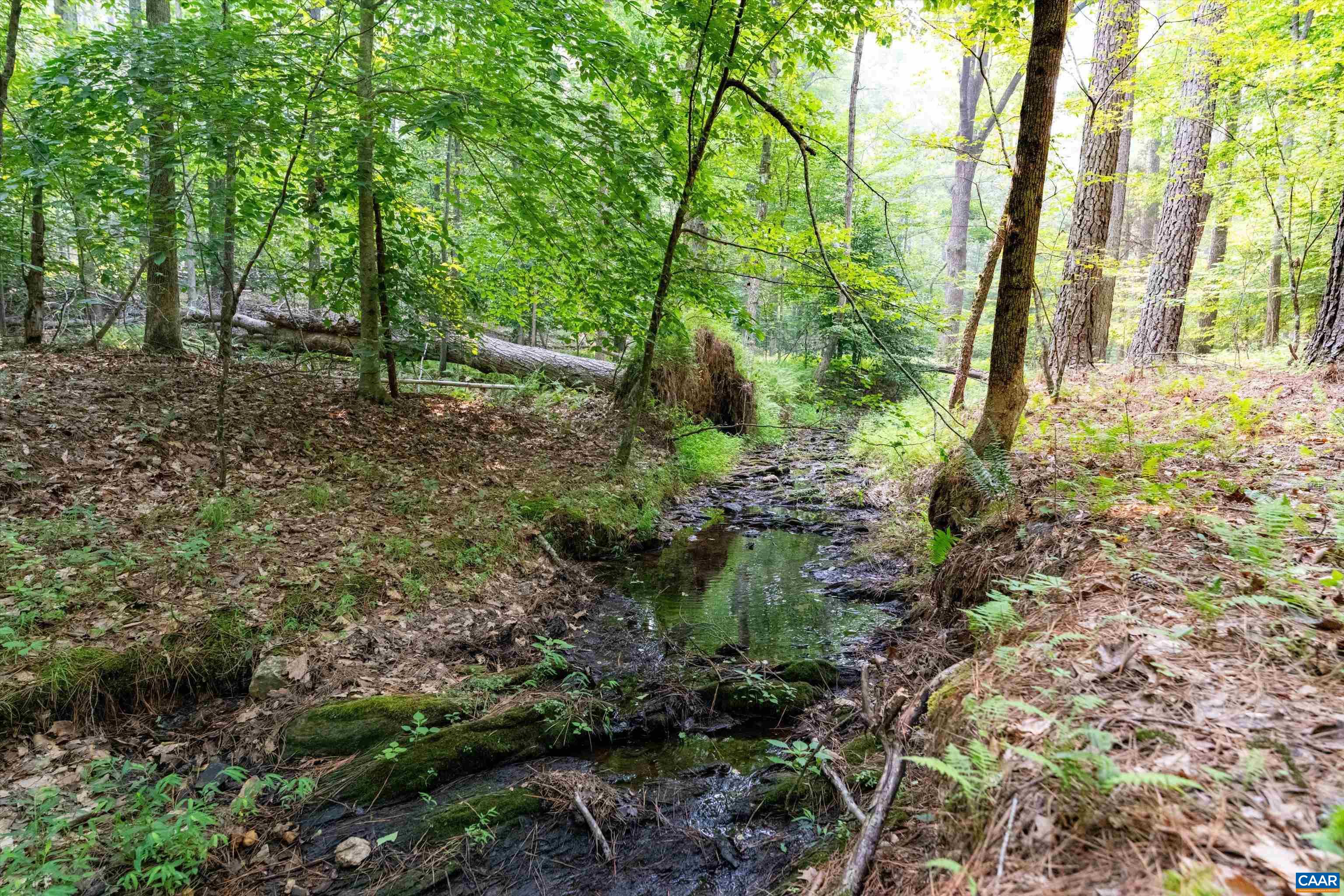 8 PINEY MOUNTAIN LN, PALMYRA, Virginia 22963, ,Land,8 PINEY MOUNTAIN LN,679989 MLS # 679989