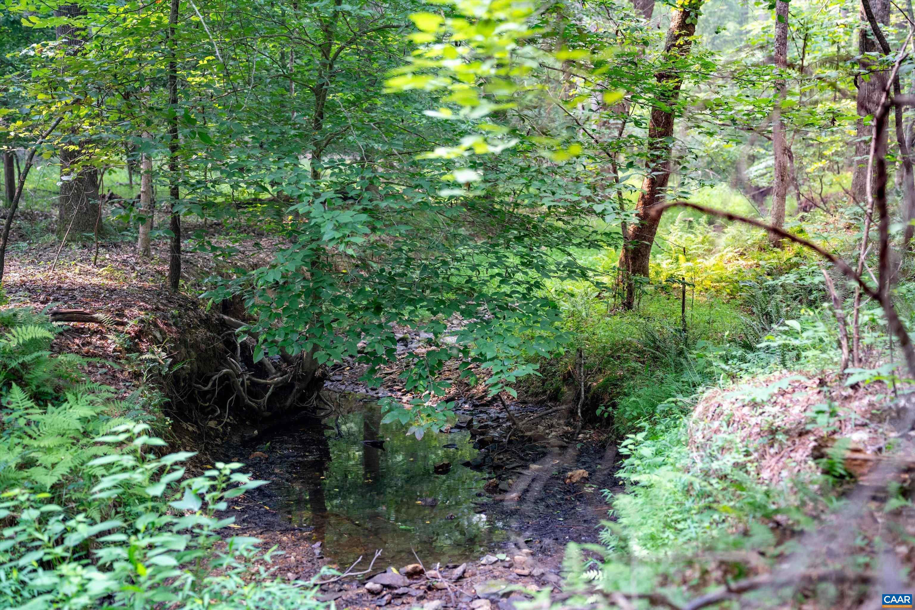 8 PINEY MOUNTAIN LN, PALMYRA, Virginia 22963, ,Land,8 PINEY MOUNTAIN LN,679989 MLS # 679989