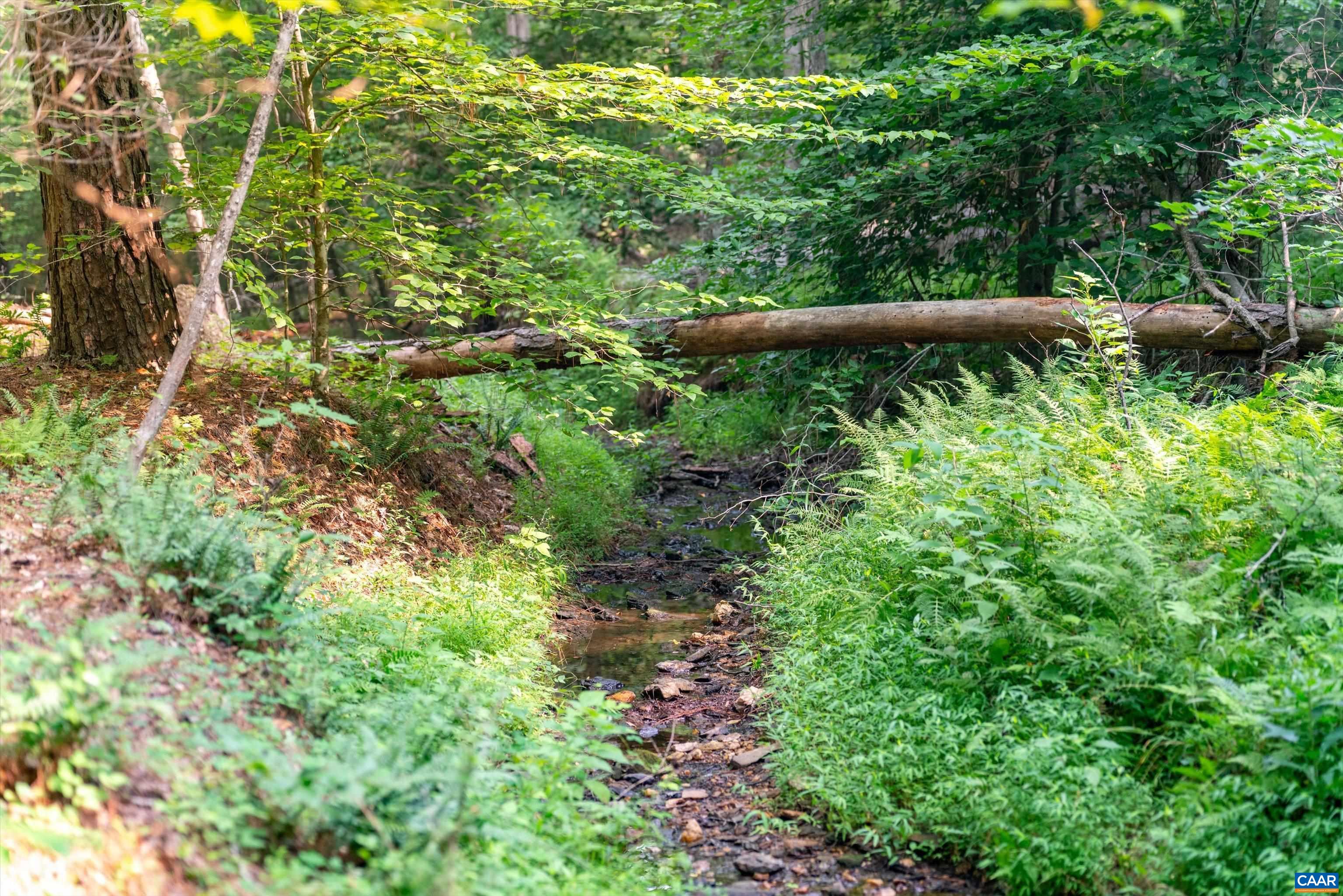 8 PINEY MOUNTAIN LN, PALMYRA, Virginia 22963, ,Land,8 PINEY MOUNTAIN LN,679989 MLS # 679989