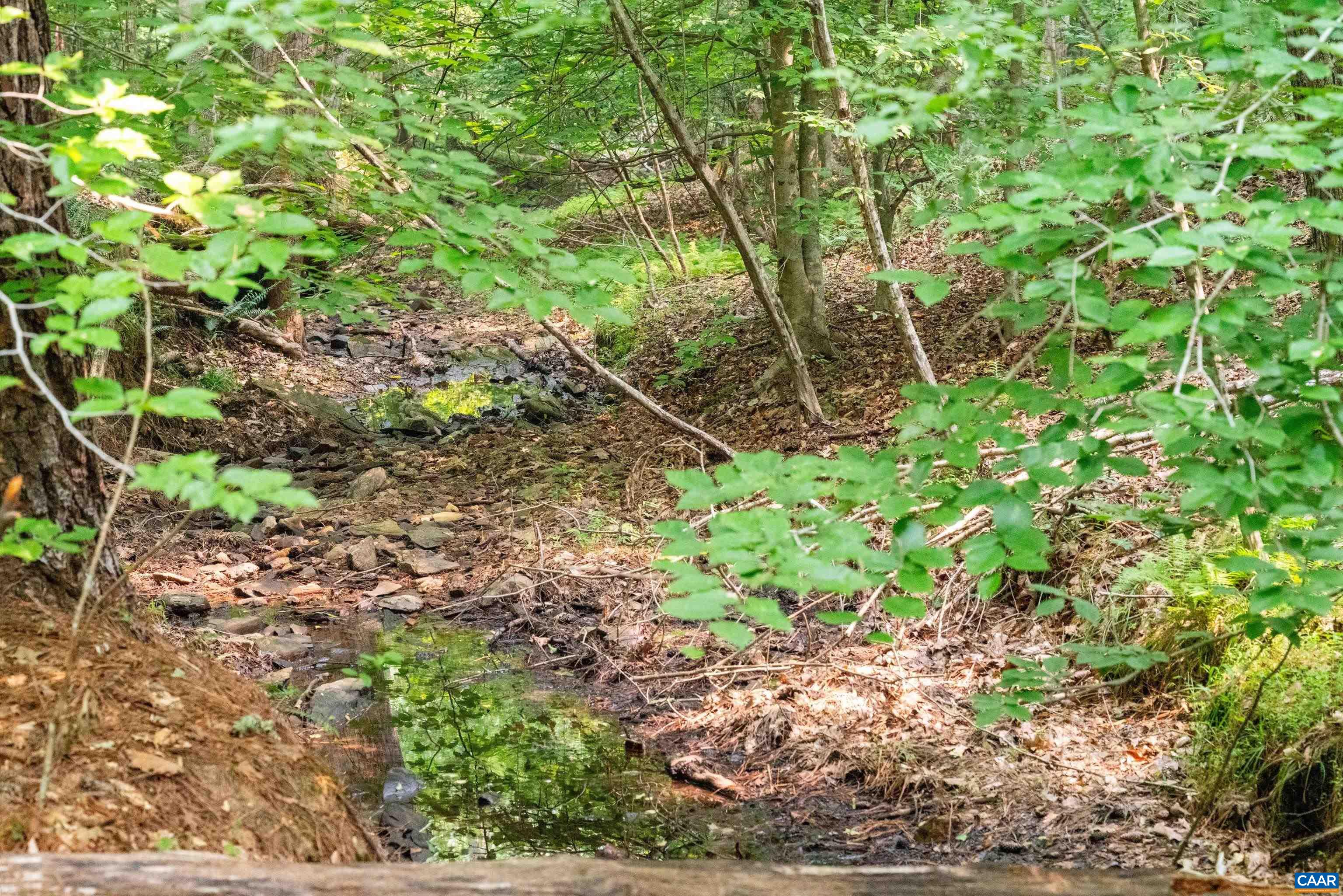 8 PINEY MOUNTAIN LN, PALMYRA, Virginia 22963, ,Land,8 PINEY MOUNTAIN LN,679989 MLS # 679989