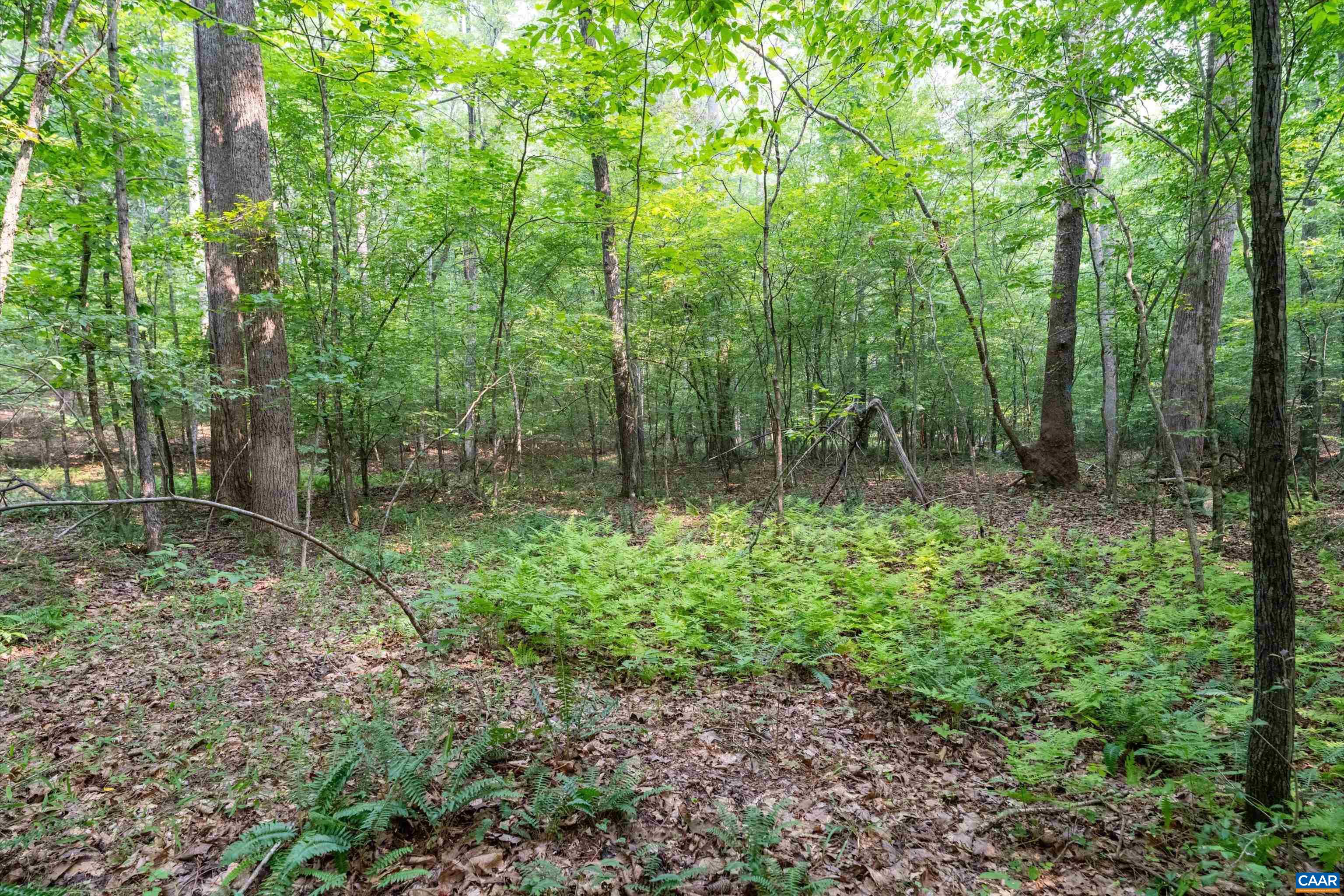 8 PINEY MOUNTAIN LN, PALMYRA, Virginia 22963, ,Land,8 PINEY MOUNTAIN LN,679989 MLS # 679989