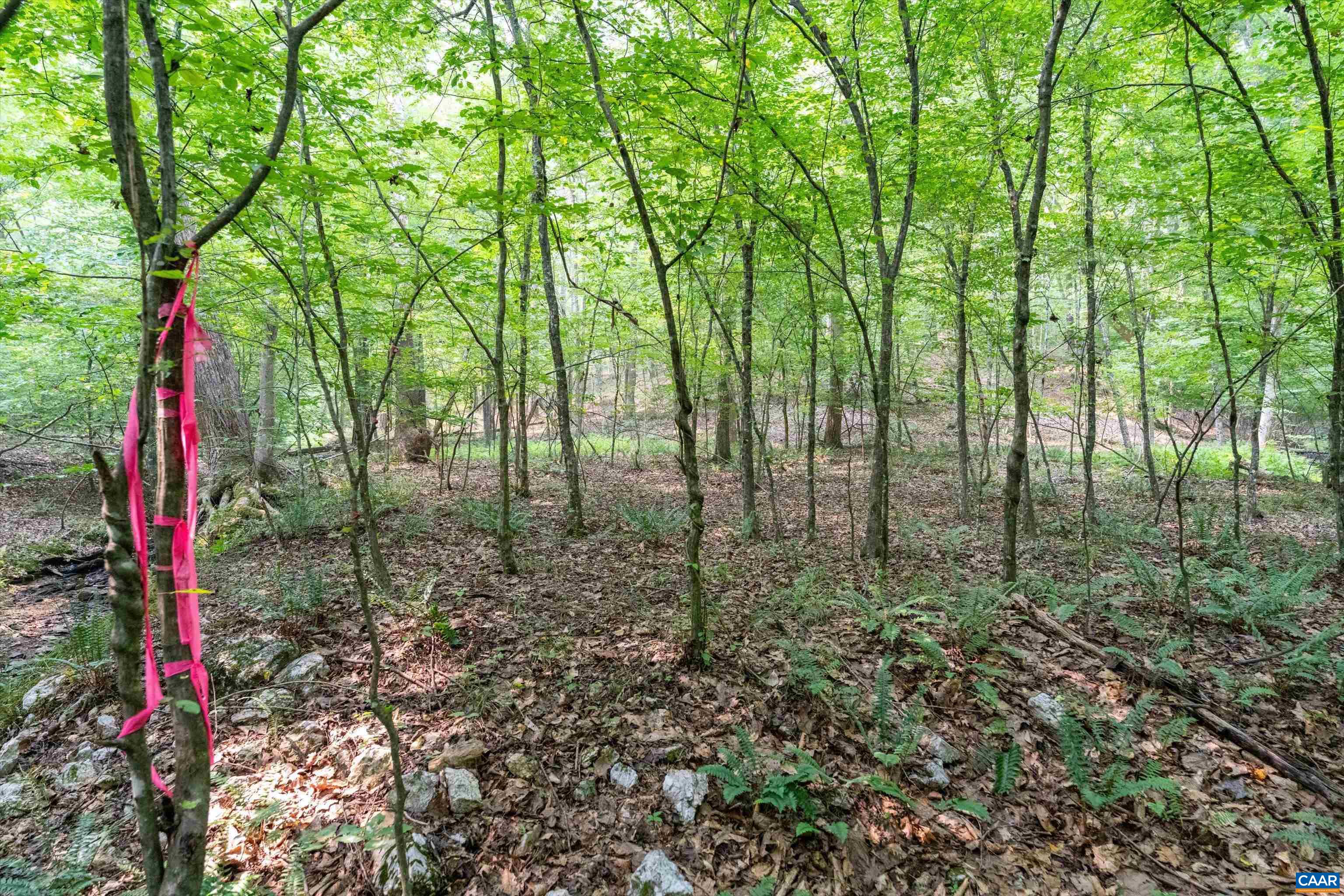 8 PINEY MOUNTAIN LN, PALMYRA, Virginia 22963, ,Land,8 PINEY MOUNTAIN LN,679989 MLS # 679989
