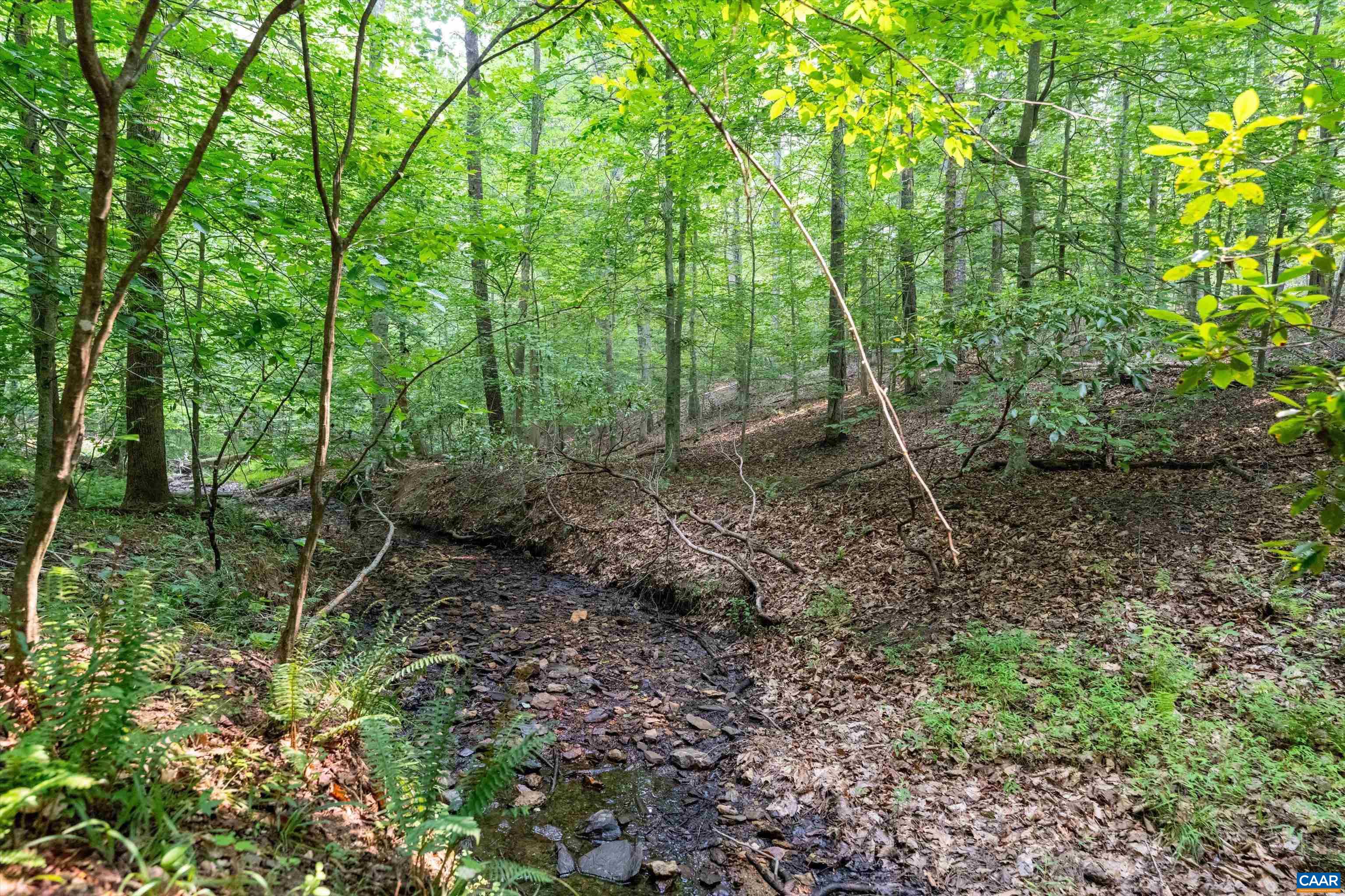 8 PINEY MOUNTAIN LN, PALMYRA, Virginia 22963, ,Land,8 PINEY MOUNTAIN LN,679989 MLS # 679989