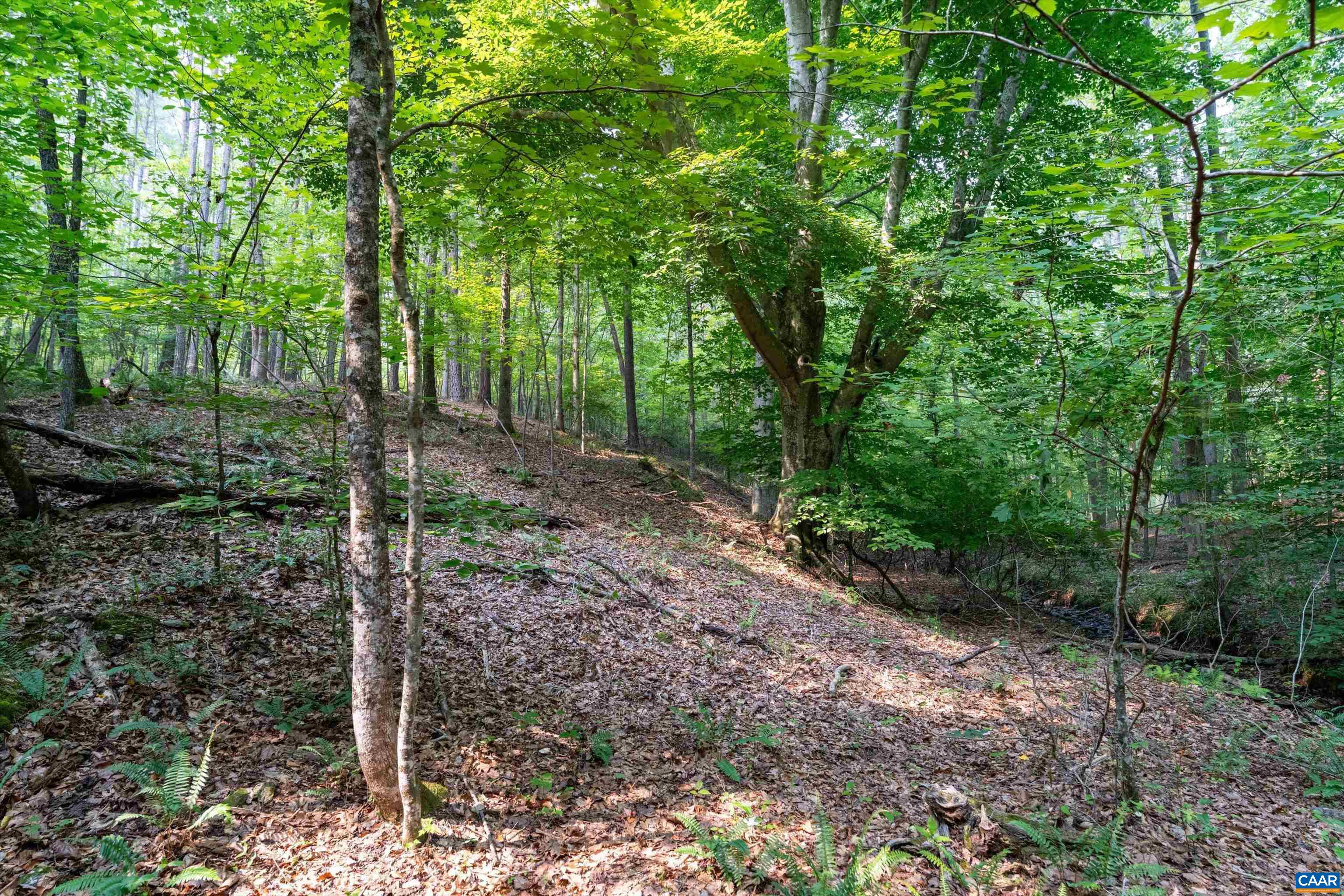 8 PINEY MOUNTAIN LN, PALMYRA, Virginia 22963, ,Land,8 PINEY MOUNTAIN LN,679989 MLS # 679989