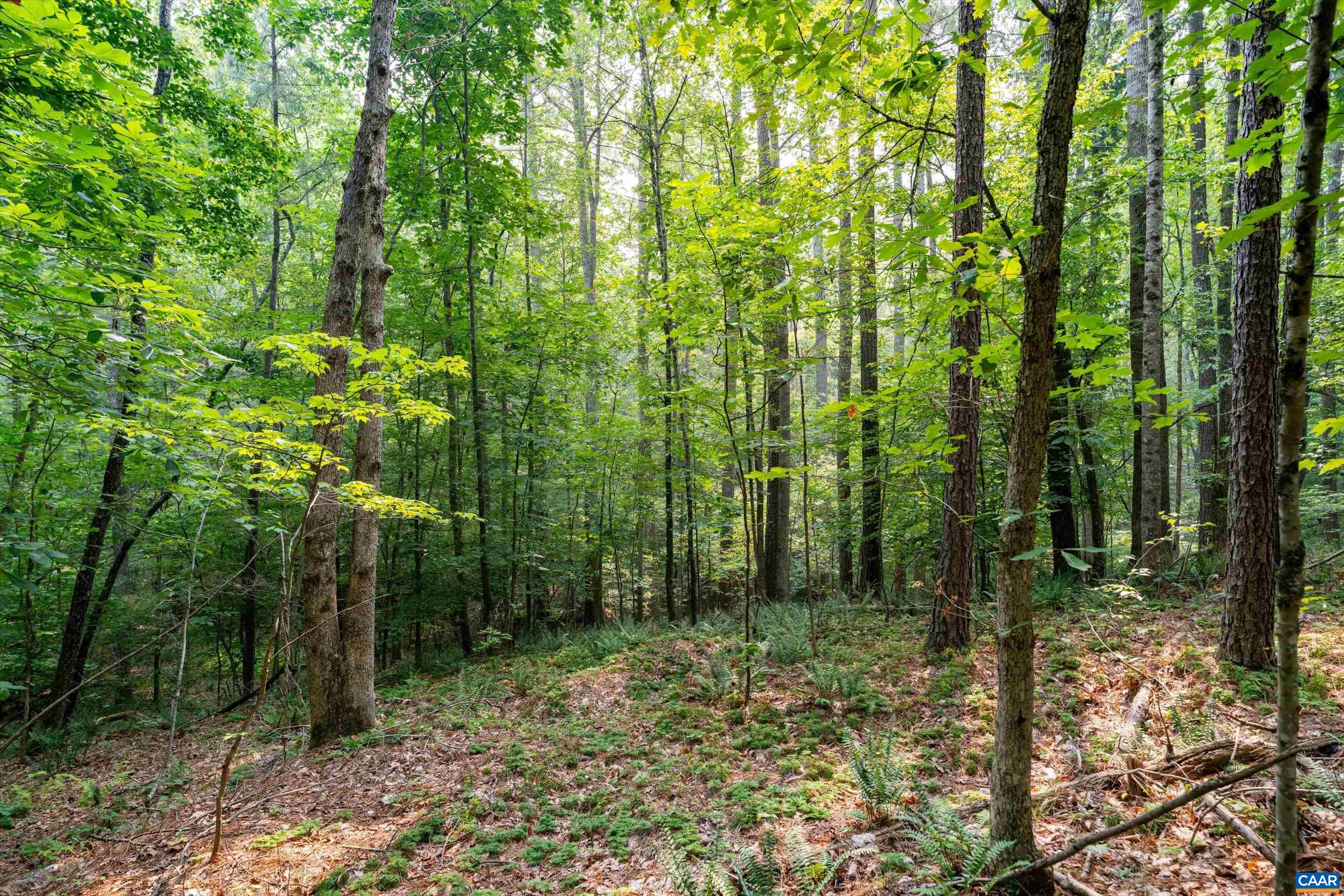 8 PINEY MOUNTAIN LN, PALMYRA, Virginia 22963, ,Land,8 PINEY MOUNTAIN LN,679989 MLS # 679989