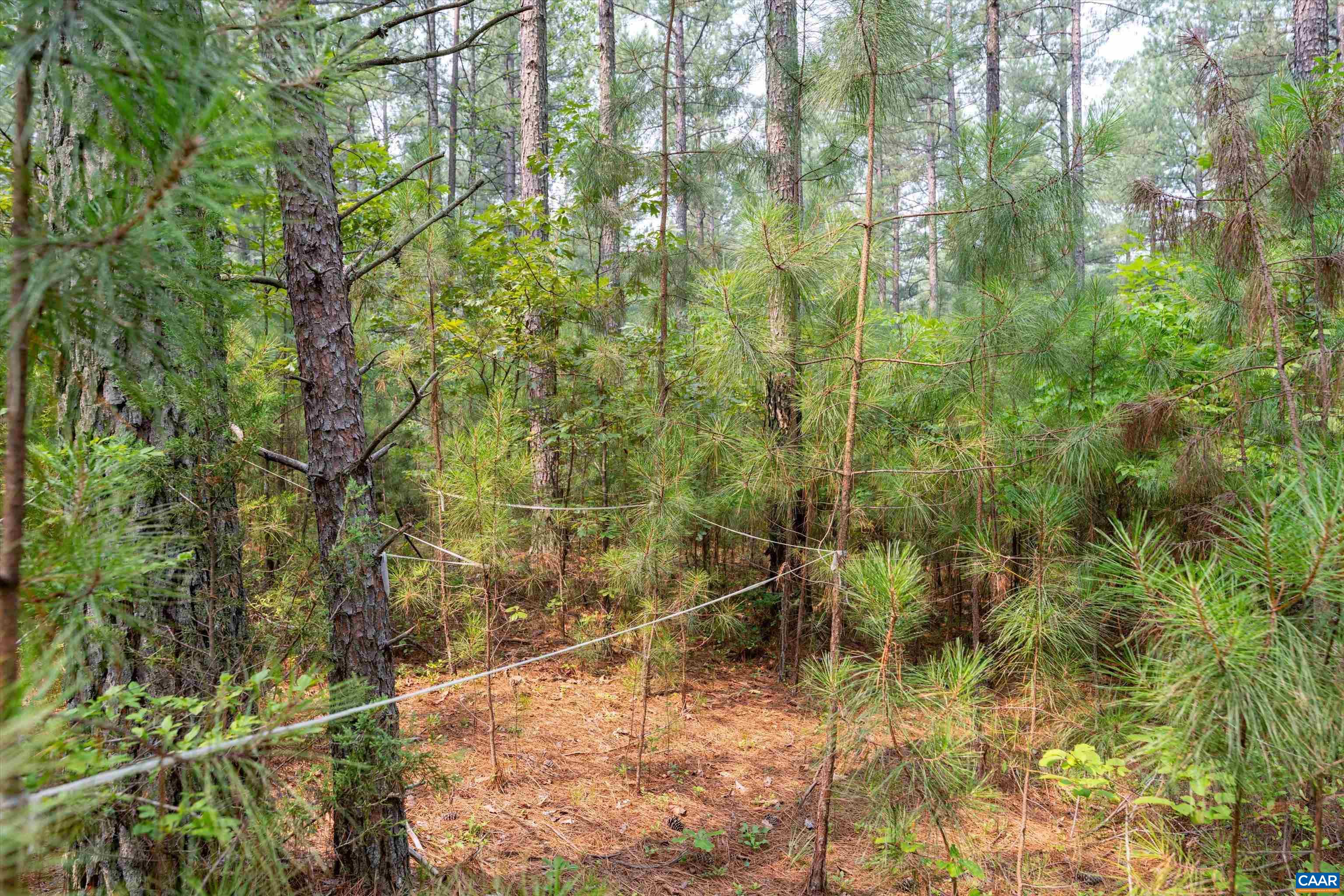 8 PINEY MOUNTAIN LN, PALMYRA, Virginia 22963, ,Land,8 PINEY MOUNTAIN LN,679989 MLS # 679989