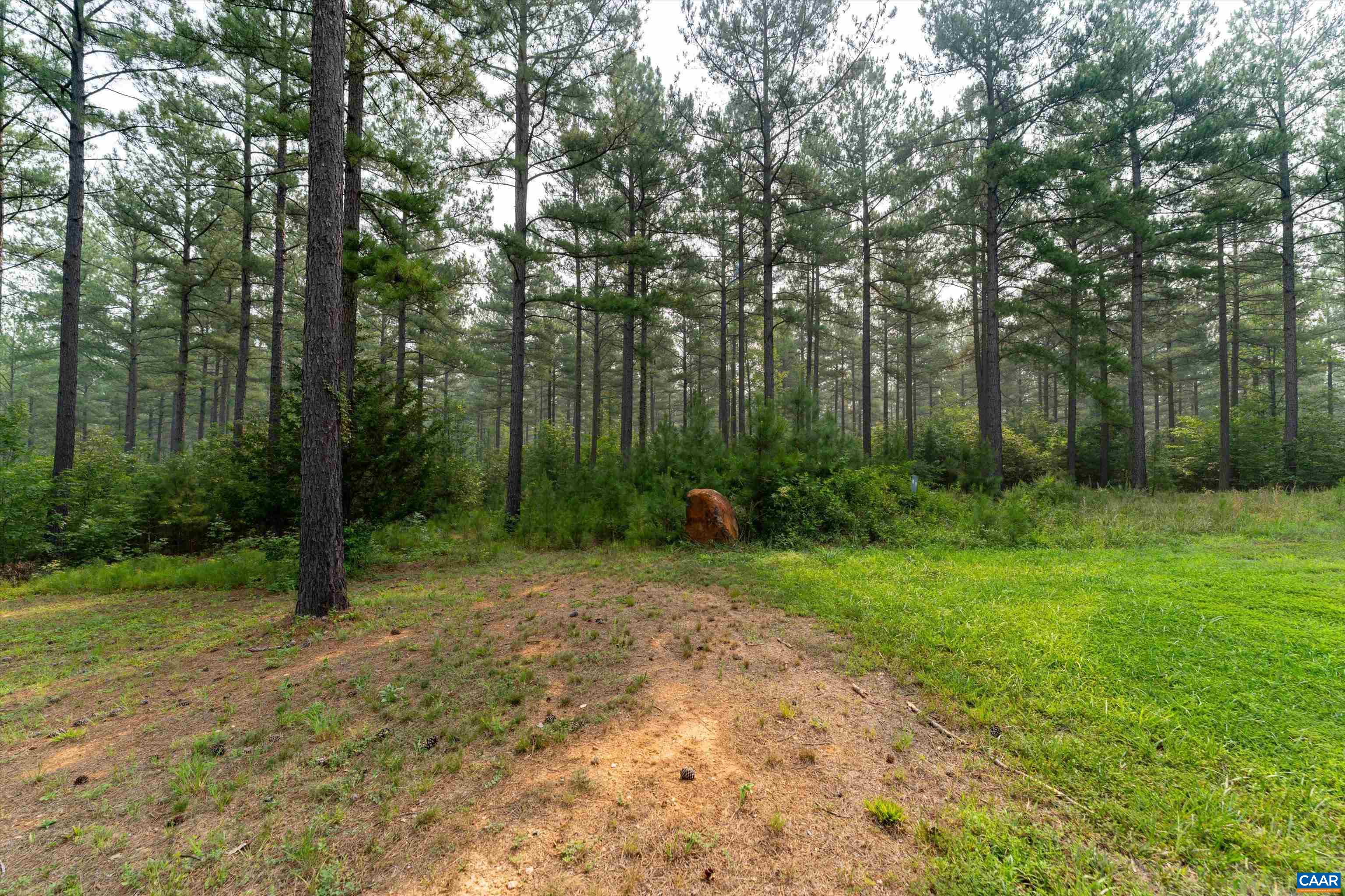 8 PINEY MOUNTAIN LN, PALMYRA, Virginia 22963, ,Land,8 PINEY MOUNTAIN LN,679989 MLS # 679989