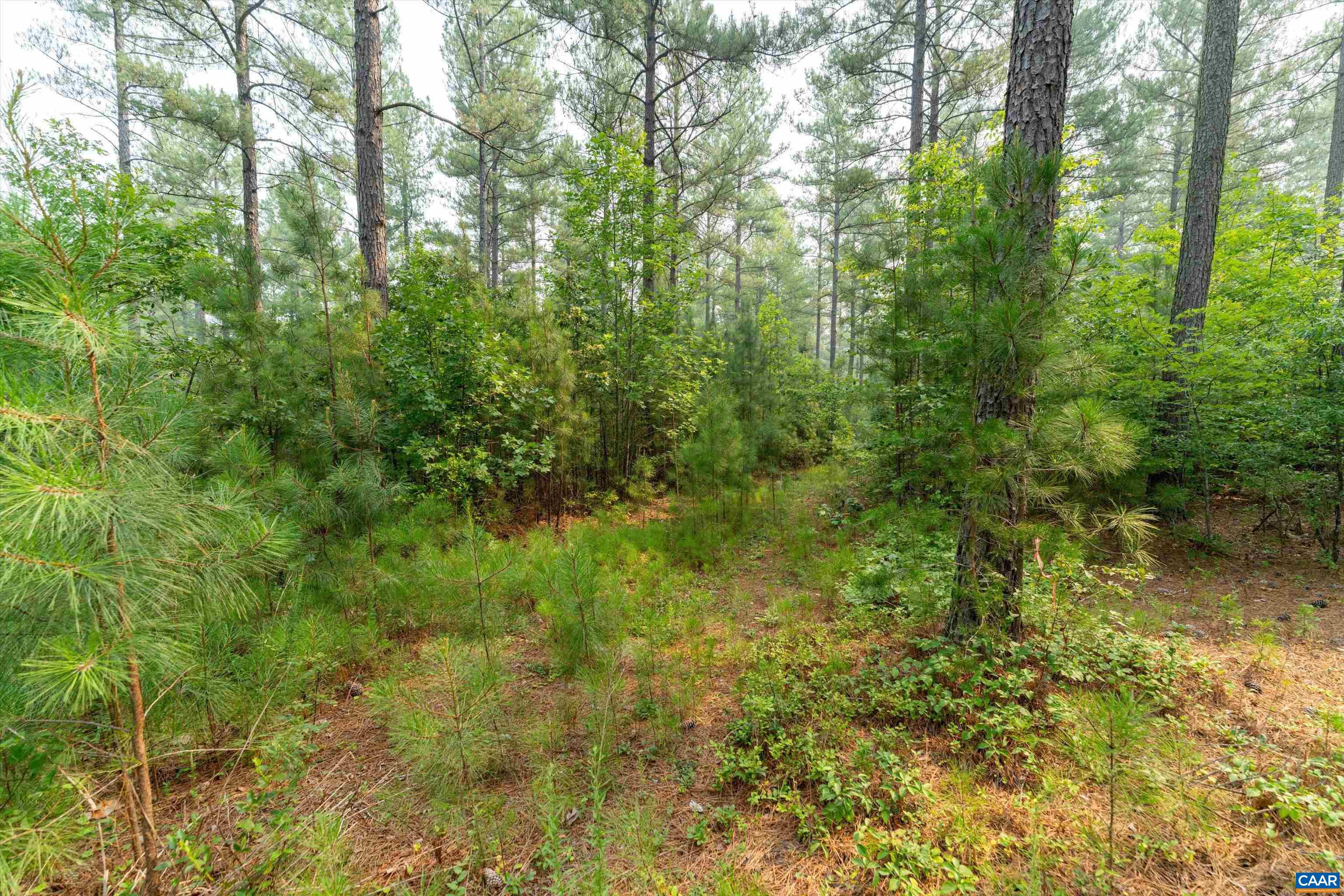 8 PINEY MOUNTAIN LN, PALMYRA, Virginia 22963, ,Land,8 PINEY MOUNTAIN LN,679989 MLS # 679989