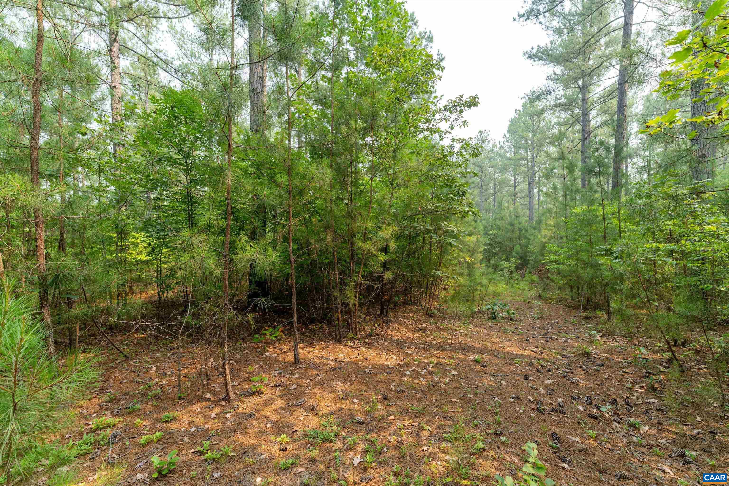 8 PINEY MOUNTAIN LN, PALMYRA, Virginia 22963, ,Land,8 PINEY MOUNTAIN LN,679989 MLS # 679989