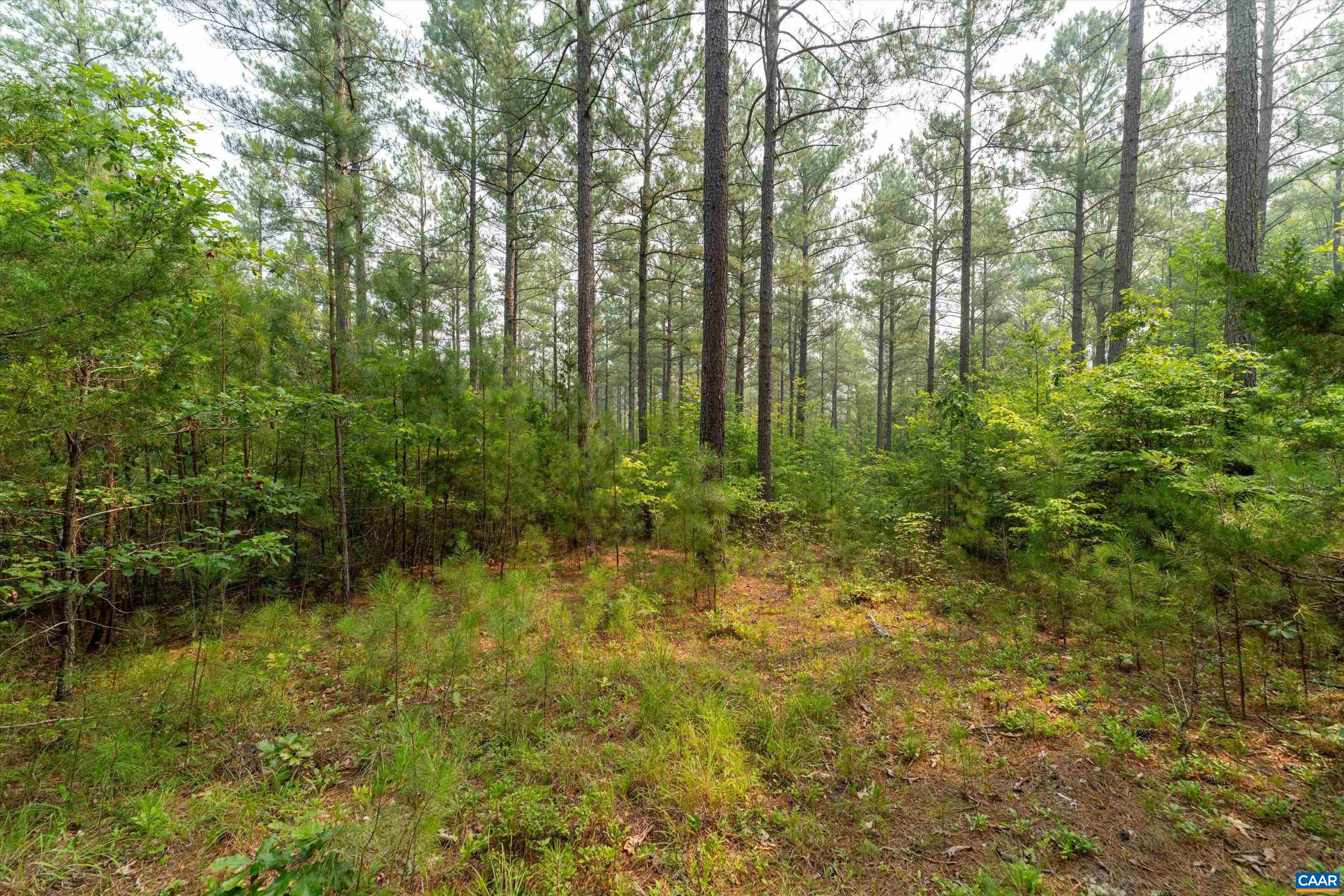 8 PINEY MOUNTAIN LN, PALMYRA, Virginia 22963, ,Land,8 PINEY MOUNTAIN LN,679989 MLS # 679989