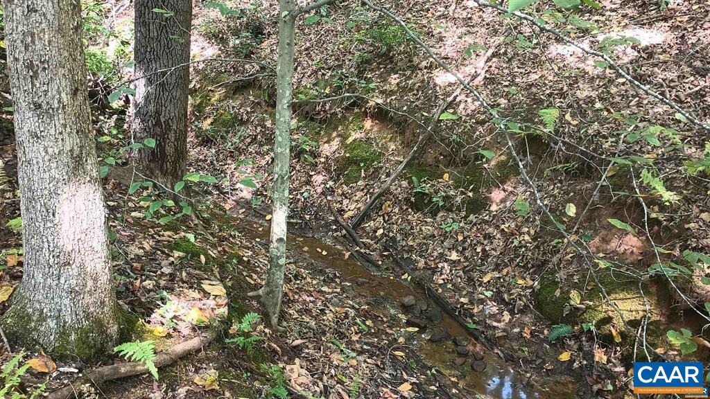 22 PINEY MOUNTAIN LN, SHIPMAN, Virginia 22971, ,Land,22 PINEY MOUNTAIN LN,680013 MLS # 680013