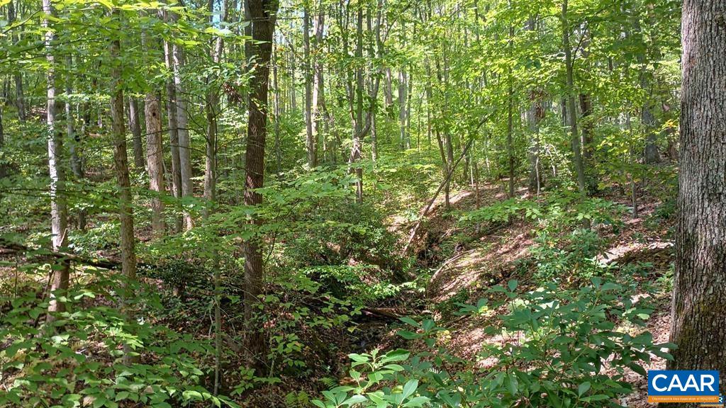 22 PINEY MOUNTAIN LN, SHIPMAN, Virginia 22971, ,Land,22 PINEY MOUNTAIN LN,680013 MLS # 680013