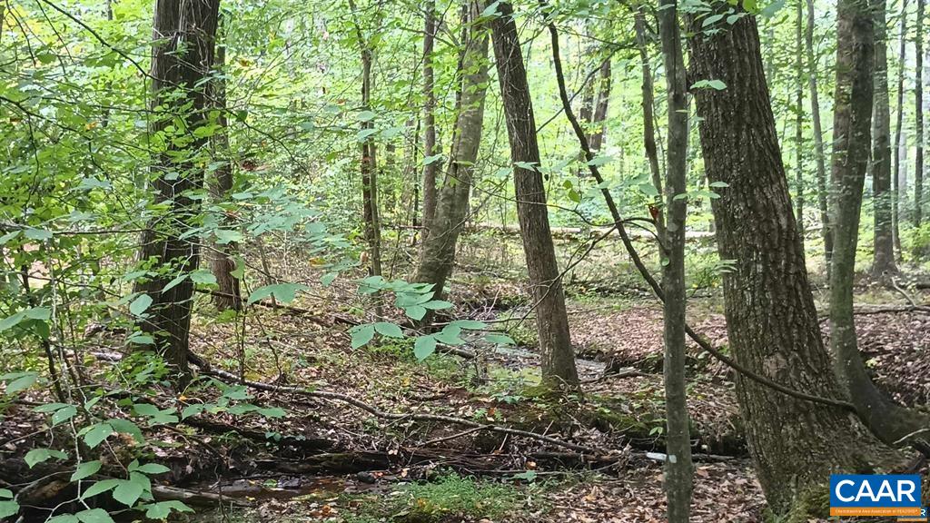 22 PINEY MOUNTAIN LN, SHIPMAN, Virginia 22971, ,Land,22 PINEY MOUNTAIN LN,680013 MLS # 680013