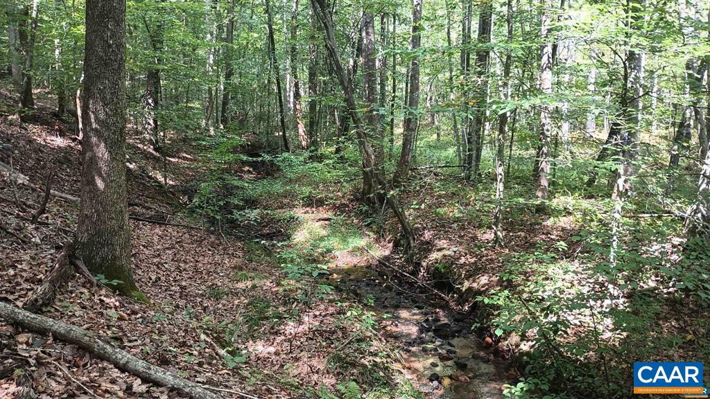 22 PINEY MOUNTAIN LN, SHIPMAN, Virginia 22971, ,Land,22 PINEY MOUNTAIN LN,680013 MLS # 680013