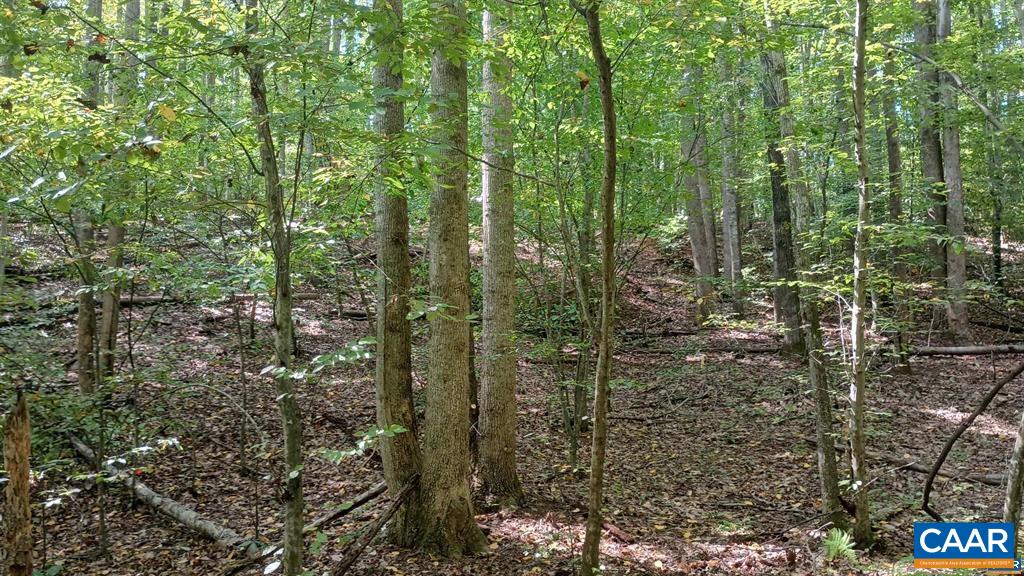 22 PINEY MOUNTAIN LN, SHIPMAN, Virginia 22971, ,Land,22 PINEY MOUNTAIN LN,680013 MLS # 680013