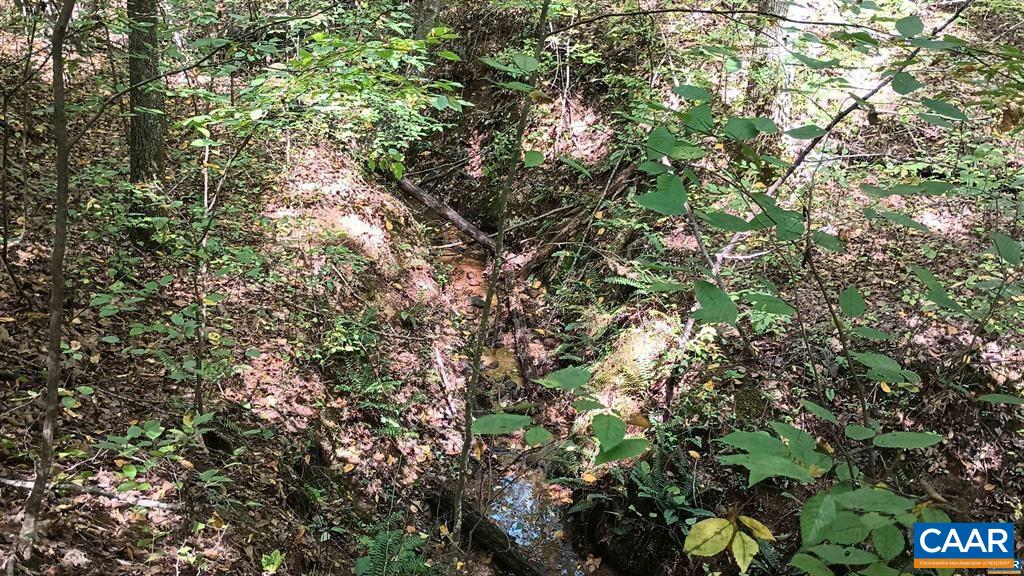 22 PINEY MOUNTAIN LN, SHIPMAN, Virginia 22971, ,Land,22 PINEY MOUNTAIN LN,680013 MLS # 680013