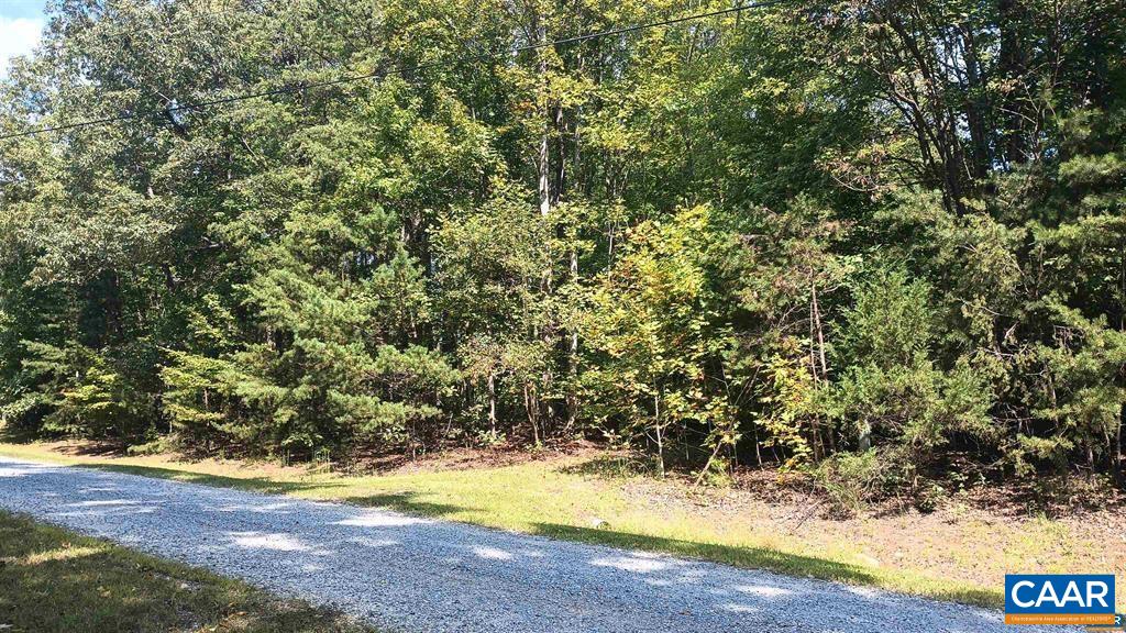22 PINEY MOUNTAIN LN, SHIPMAN, Virginia 22971, ,Land,22 PINEY MOUNTAIN LN,680013 MLS # 680013