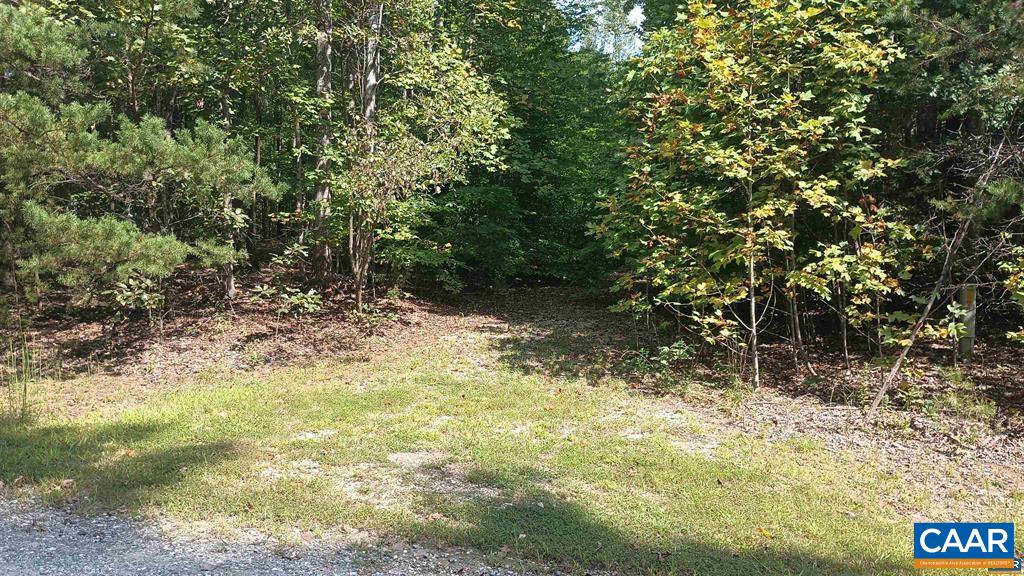 22 PINEY MOUNTAIN LN, SHIPMAN, Virginia 22971, ,Land,22 PINEY MOUNTAIN LN,680013 MLS # 680013