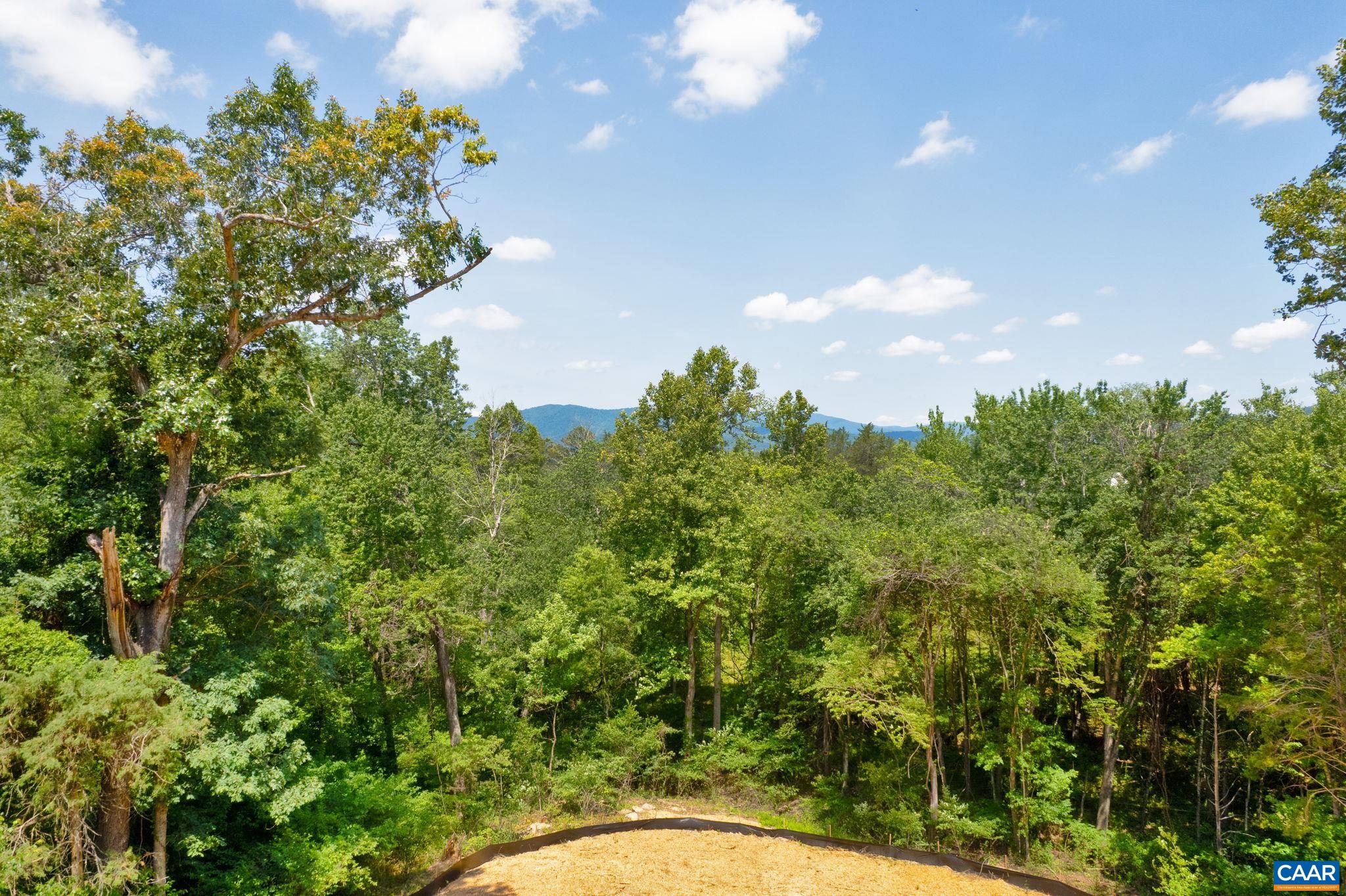 1B BUCK MOUNTAIN RD, FREE UNION, Virginia 22940, 5 Bedrooms Bedrooms, ,5 BathroomsBathrooms,Residential,The Monterey,1B BUCK MOUNTAIN RD,680011 MLS # 680011 1B BUCK MOUNTAIN RD, FREE UNION, Virginia 22940, 5 Bedrooms Bedrooms, ,5 BathroomsBathrooms,Residential,The Monterey,1B BUCK MOUNTAIN RD,680011 MLS # 680011