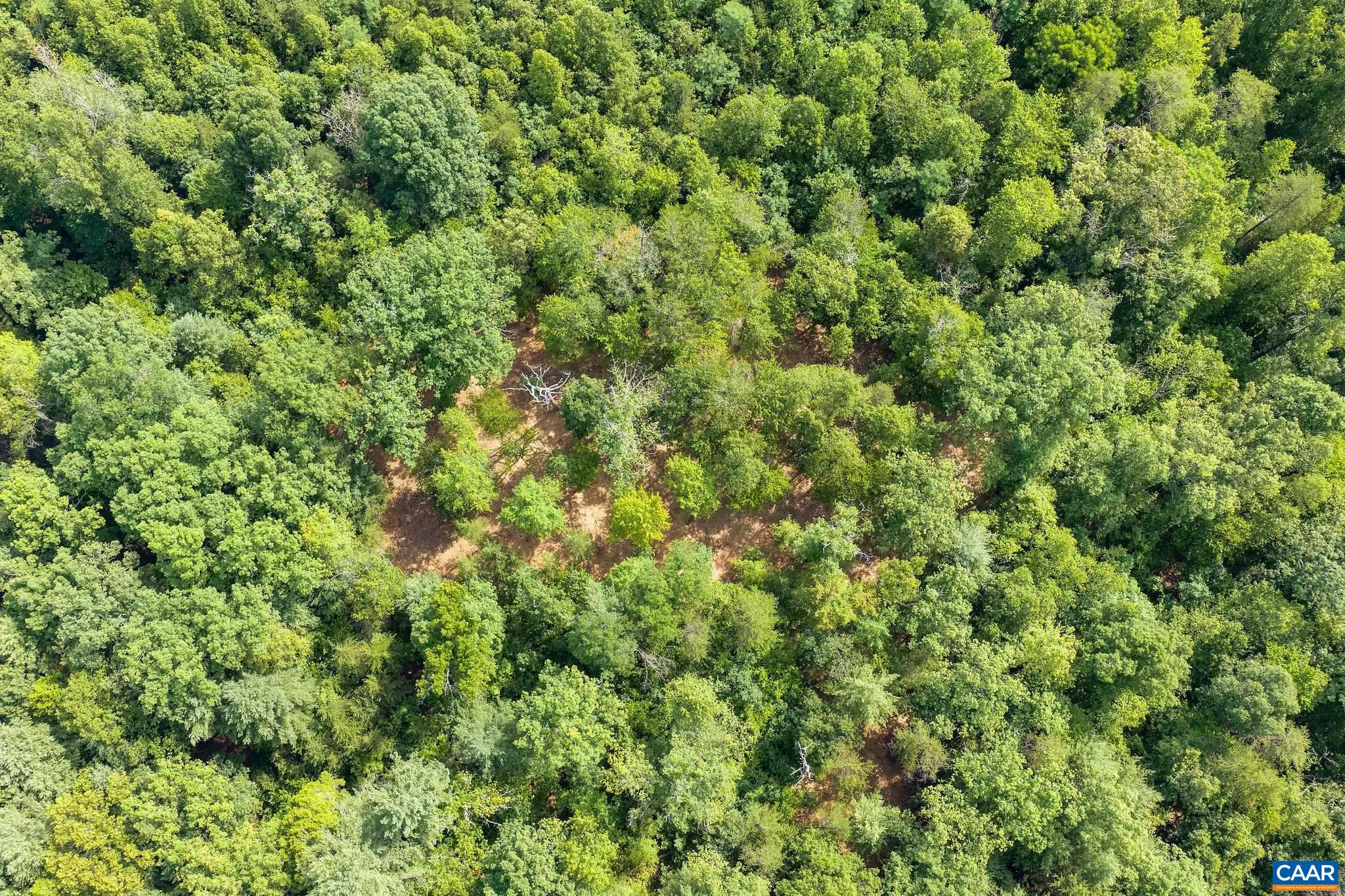 TBD WESLEY CHAPEL RD, FREE UNION, Virginia 22940, ,Land,TBD WESLEY CHAPEL RD,680001 MLS # 680001 TBD WESLEY CHAPEL RD, FREE UNION, Virginia 22940, ,Land,TBD WESLEY CHAPEL RD,680001 MLS # 680001
