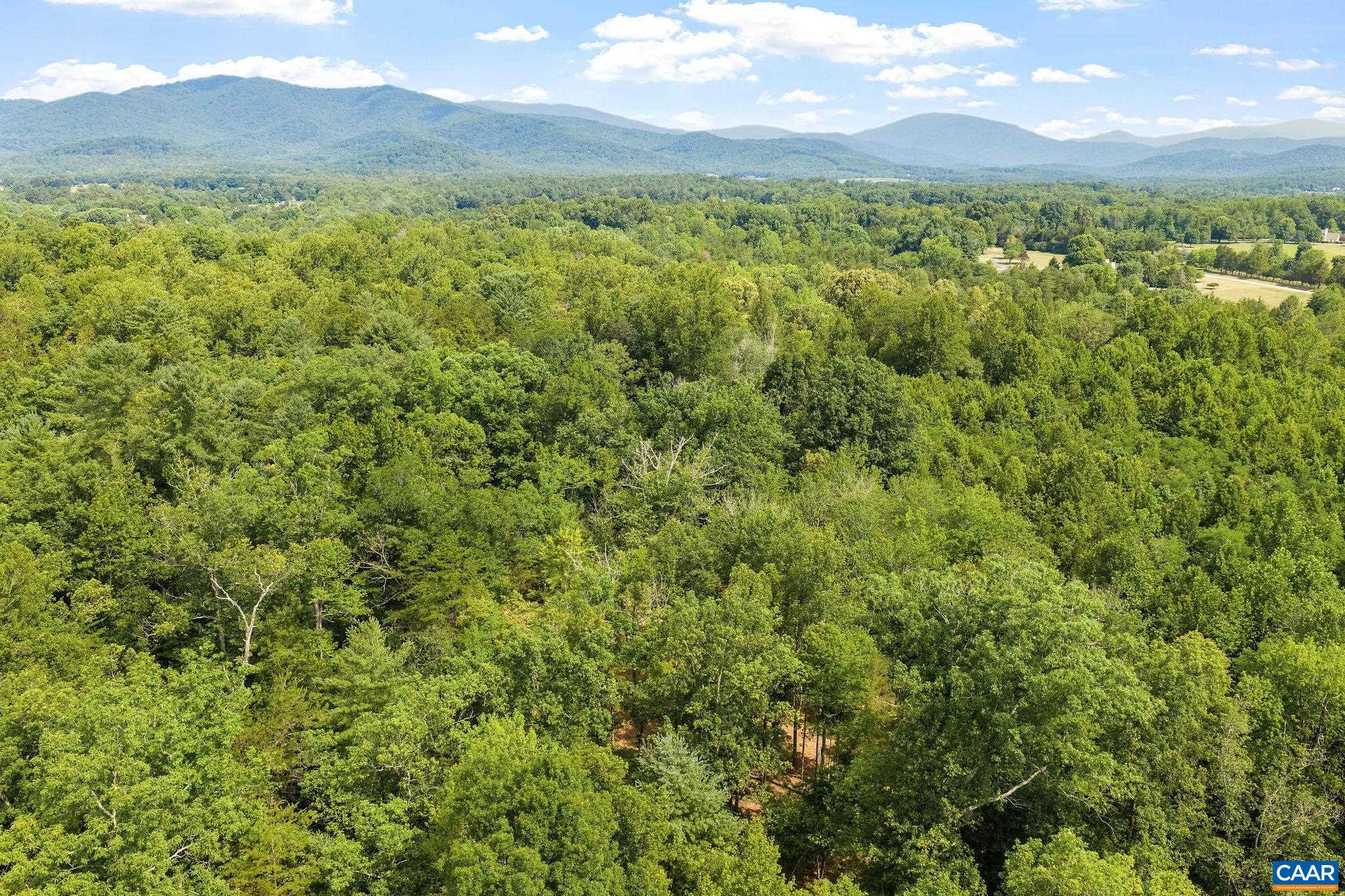 TBD WESLEY CHAPEL RD, FREE UNION, Virginia 22940, ,Land,TBD WESLEY CHAPEL RD,680001 MLS # 680001 TBD WESLEY CHAPEL RD, FREE UNION, Virginia 22940, ,Land,TBD WESLEY CHAPEL RD,680001 MLS # 680001