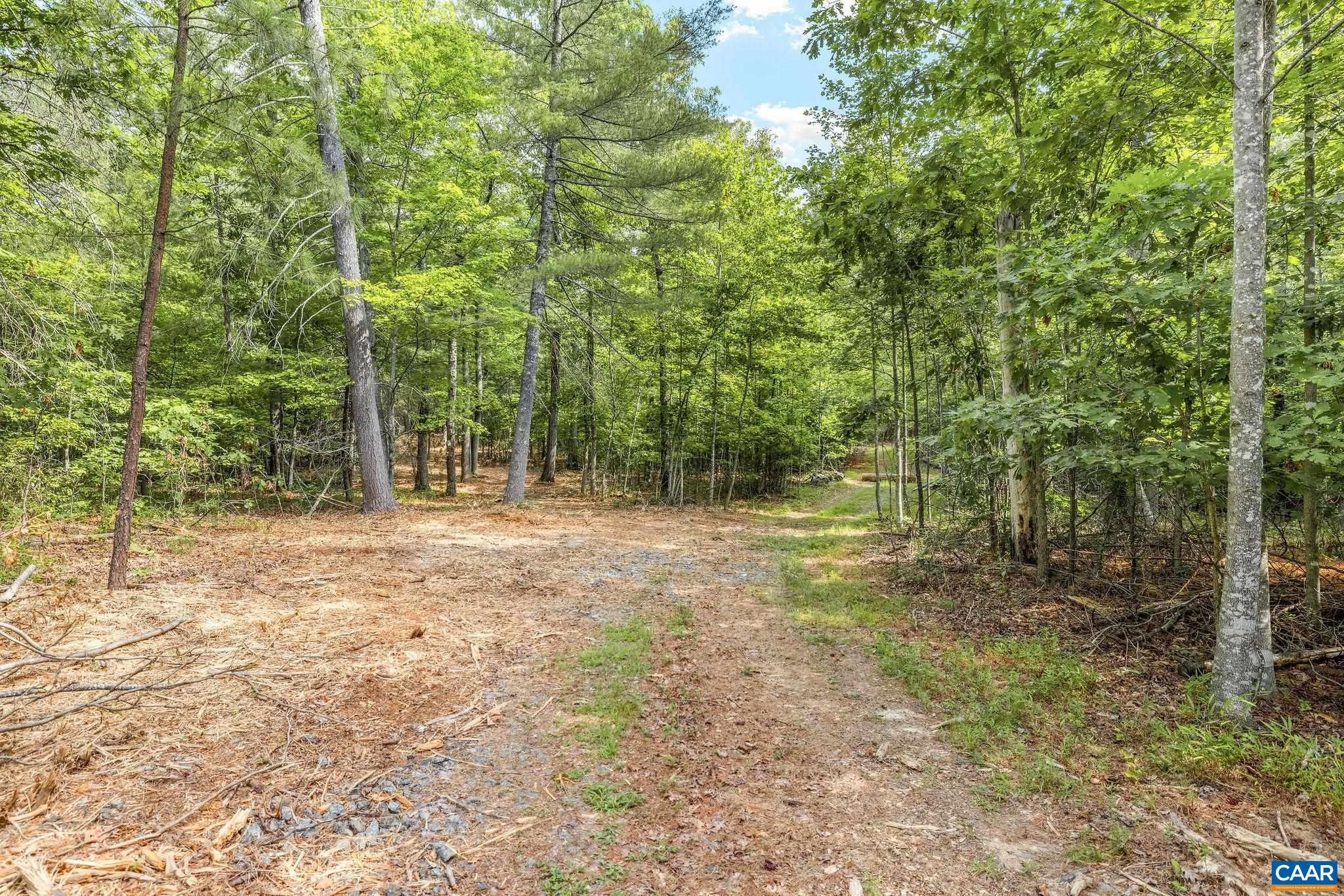 TBD WESLEY CHAPEL RD, FREE UNION, Virginia 22940, ,Land,TBD WESLEY CHAPEL RD,680001 MLS # 680001 TBD WESLEY CHAPEL RD, FREE UNION, Virginia 22940, ,Land,TBD WESLEY CHAPEL RD,680001 MLS # 680001
