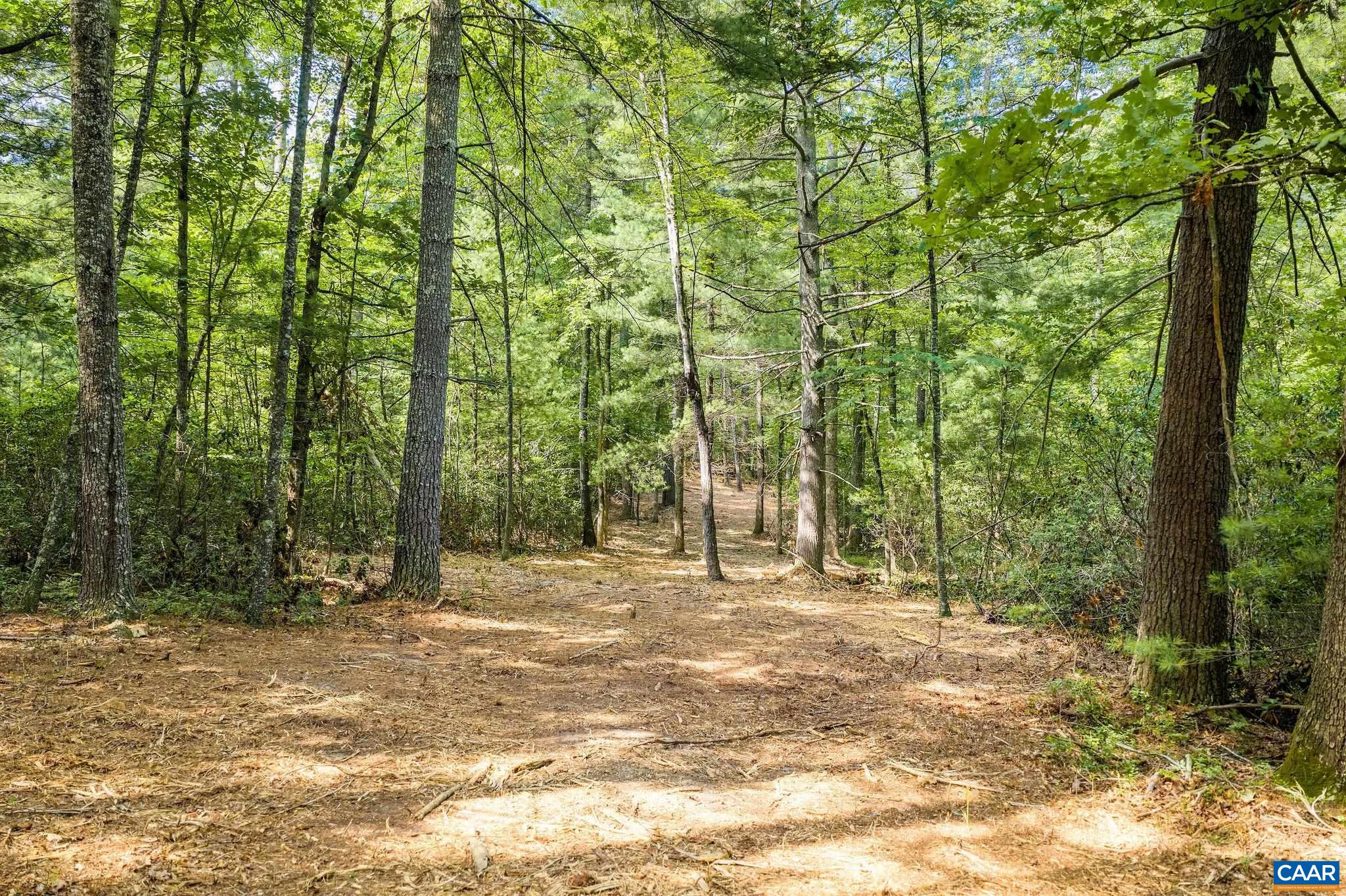 TBD WESLEY CHAPEL RD, FREE UNION, Virginia 22940, ,Land,TBD WESLEY CHAPEL RD,680001 MLS # 680001 TBD WESLEY CHAPEL RD, FREE UNION, Virginia 22940, ,Land,TBD WESLEY CHAPEL RD,680001 MLS # 680001