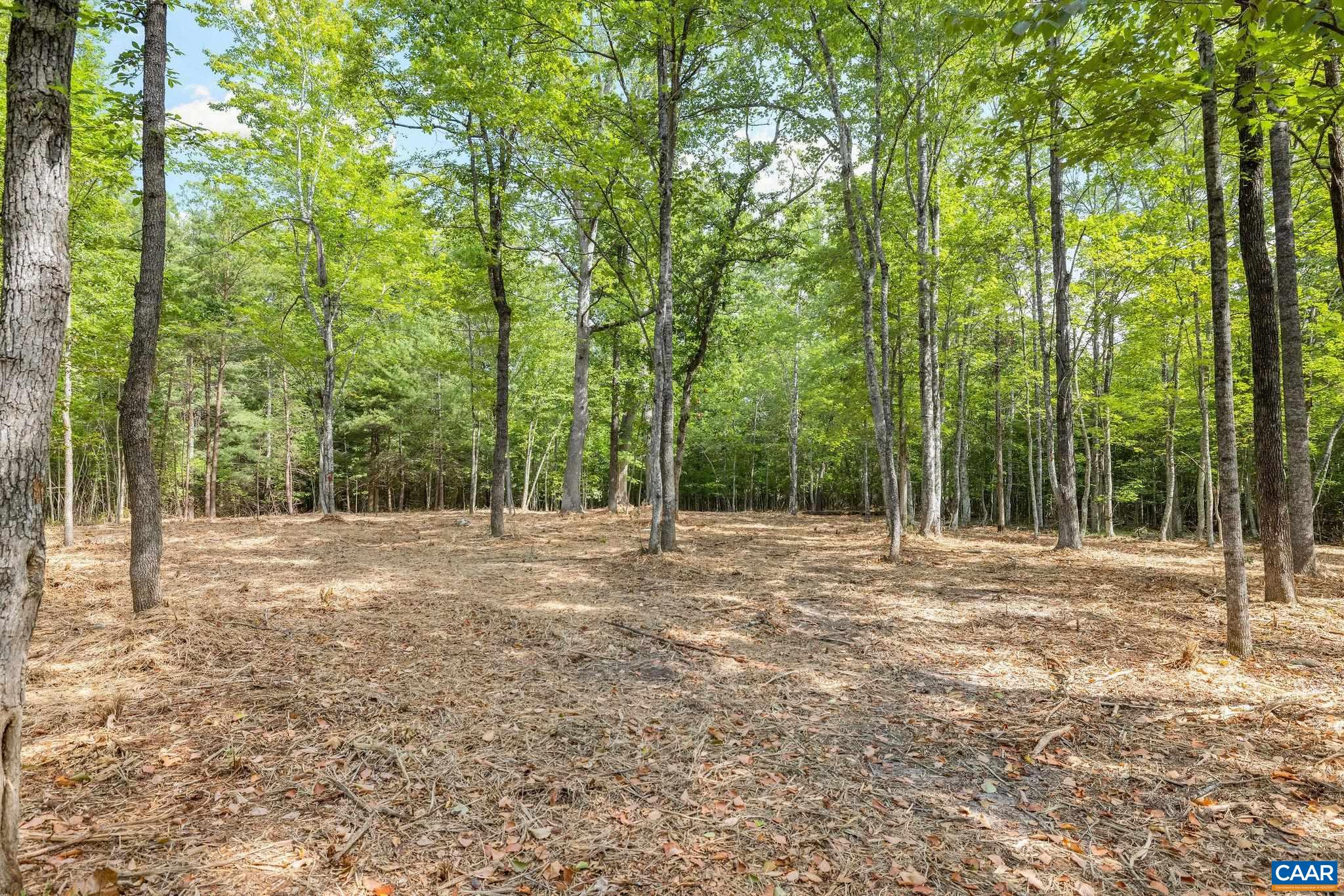 TBD WESLEY CHAPEL RD, FREE UNION, Virginia 22940, ,Land,TBD WESLEY CHAPEL RD,680001 MLS # 680001 TBD WESLEY CHAPEL RD, FREE UNION, Virginia 22940, ,Land,TBD WESLEY CHAPEL RD,680001 MLS # 680001