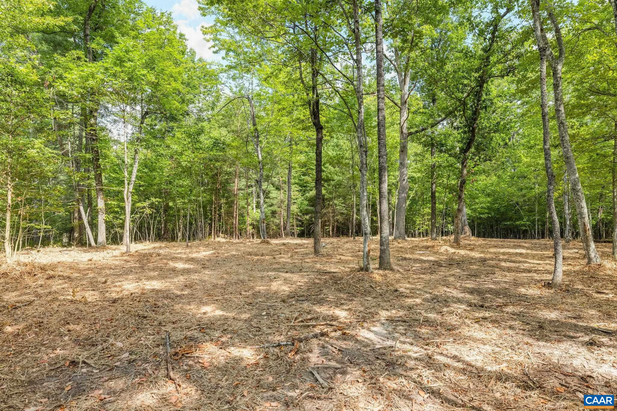 TBD WESLEY CHAPEL RD, FREE UNION, Virginia 22940, ,Land,TBD WESLEY CHAPEL RD,680001 MLS # 680001 TBD WESLEY CHAPEL RD, FREE UNION, Virginia 22940, ,Land,TBD WESLEY CHAPEL RD,680001 MLS # 680001