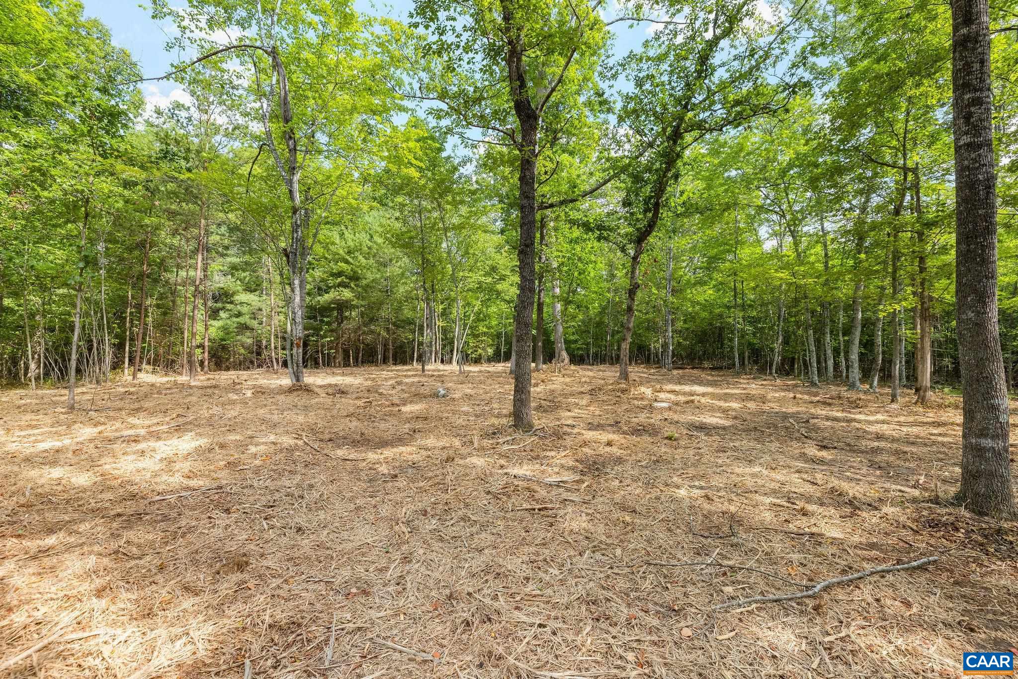 TBD WESLEY CHAPEL RD, FREE UNION, Virginia 22940, ,Land,TBD WESLEY CHAPEL RD,680001 MLS # 680001 TBD WESLEY CHAPEL RD, FREE UNION, Virginia 22940, ,Land,TBD WESLEY CHAPEL RD,680001 MLS # 680001