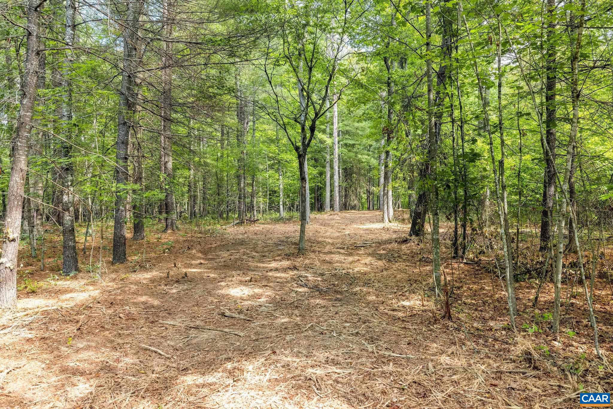 TBD WESLEY CHAPEL RD, FREE UNION, Virginia 22940, ,Land,TBD WESLEY CHAPEL RD,680001 MLS # 680001 TBD WESLEY CHAPEL RD, FREE UNION, Virginia 22940, ,Land,TBD WESLEY CHAPEL RD,680001 MLS # 680001