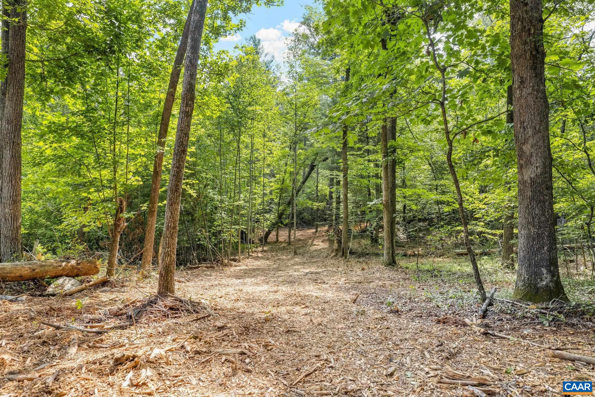 TBD WESLEY CHAPEL RD, FREE UNION, Virginia 22940, ,Land,TBD WESLEY CHAPEL RD,680001 MLS # 680001 TBD WESLEY CHAPEL RD, FREE UNION, Virginia 22940, ,Land,TBD WESLEY CHAPEL RD,680001 MLS # 680001