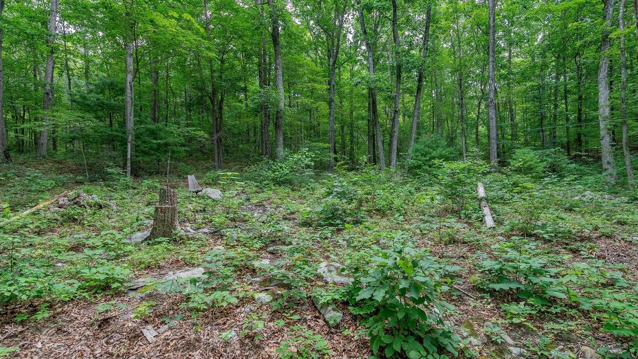 TBD DOGWOOD DR, NEW MARKET, Virginia 22844, ,Land,TBD DOGWOOD DR,680027 MLS # 680027 TBD DOGWOOD DR, NEW MARKET, Virginia 22844, ,Land,TBD DOGWOOD DR,680027 MLS # 680027