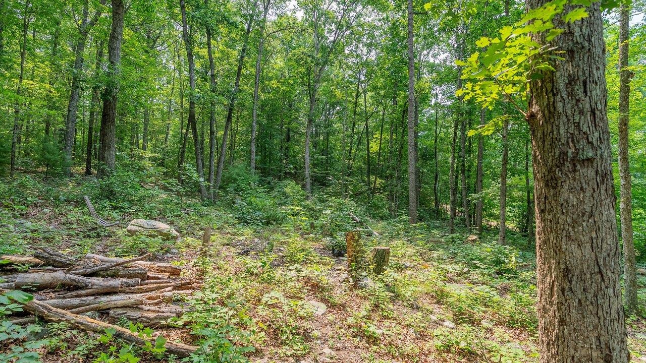 TBD DOGWOOD DR, NEW MARKET, Virginia 22844, ,Land,TBD DOGWOOD DR,680027 MLS # 680027 TBD DOGWOOD DR, NEW MARKET, Virginia 22844, ,Land,TBD DOGWOOD DR,680027 MLS # 680027