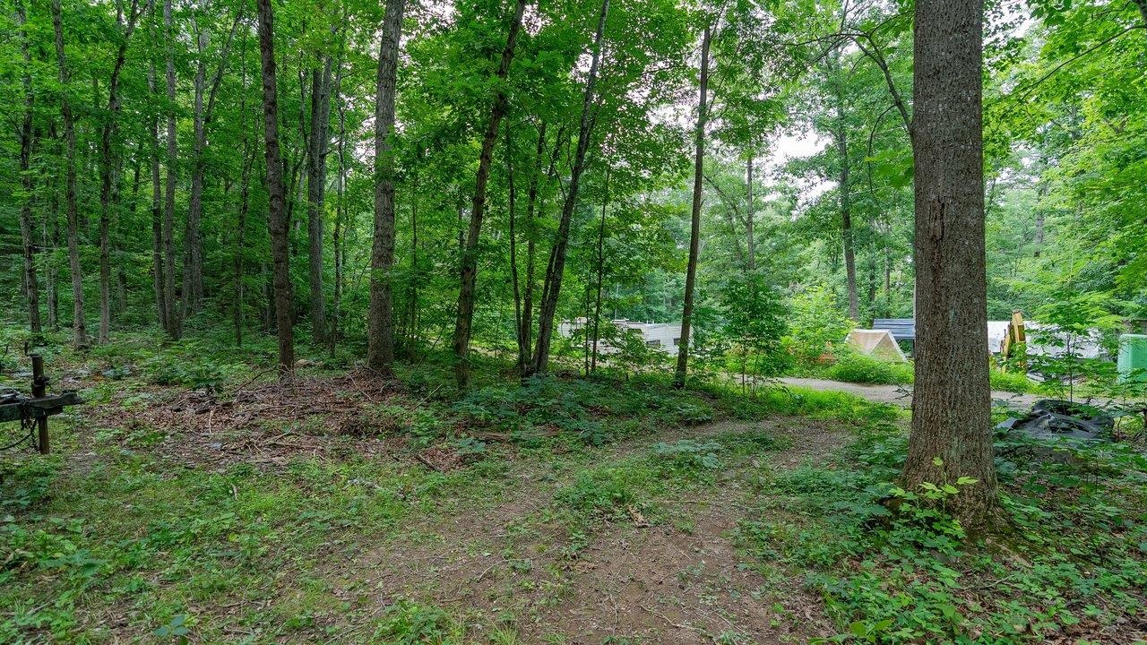 TBD DOGWOOD DR, NEW MARKET, Virginia 22844, ,Land,TBD DOGWOOD DR,680027 MLS # 680027 TBD DOGWOOD DR, NEW MARKET, Virginia 22844, ,Land,TBD DOGWOOD DR,680027 MLS # 680027