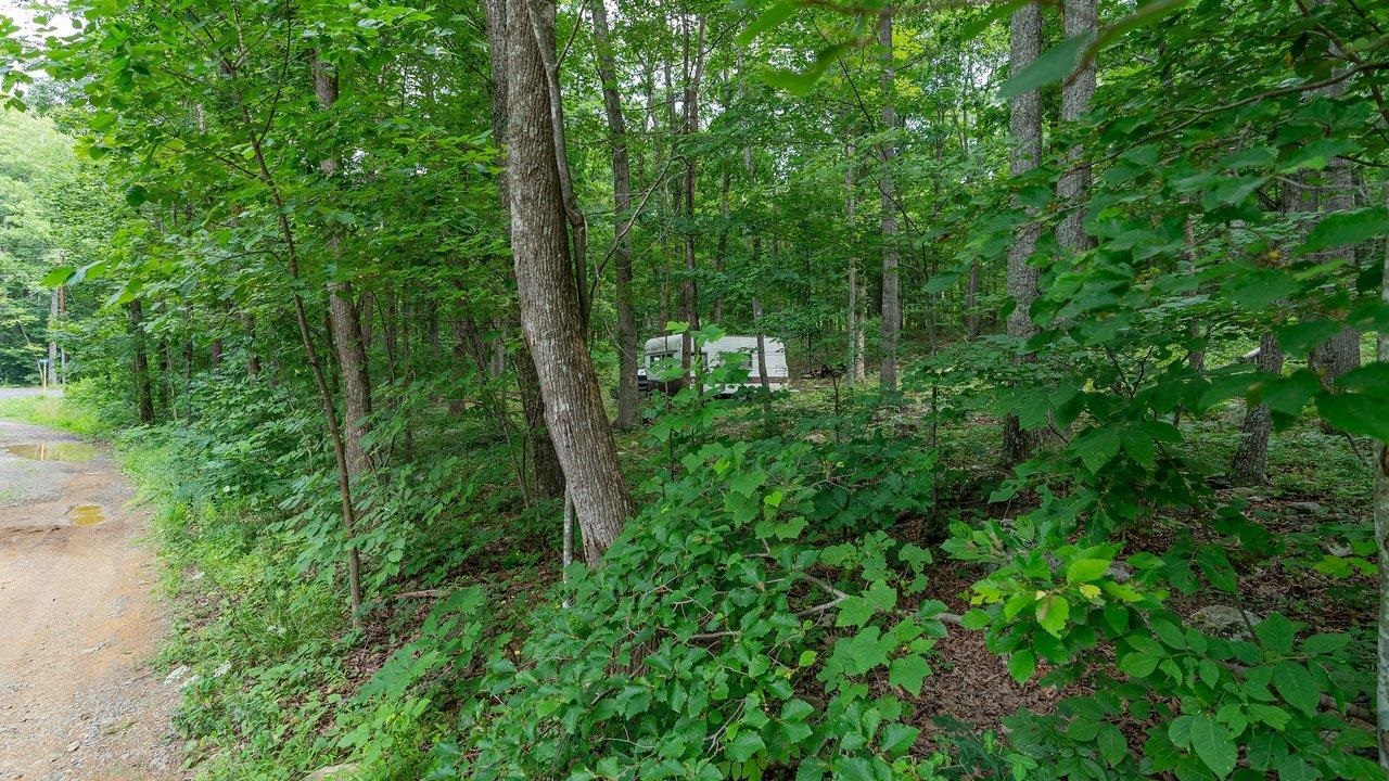 TBD DOGWOOD DR, NEW MARKET, Virginia 22844, ,Land,TBD DOGWOOD DR,680027 MLS # 680027 TBD DOGWOOD DR, NEW MARKET, Virginia 22844, ,Land,TBD DOGWOOD DR,680027 MLS # 680027