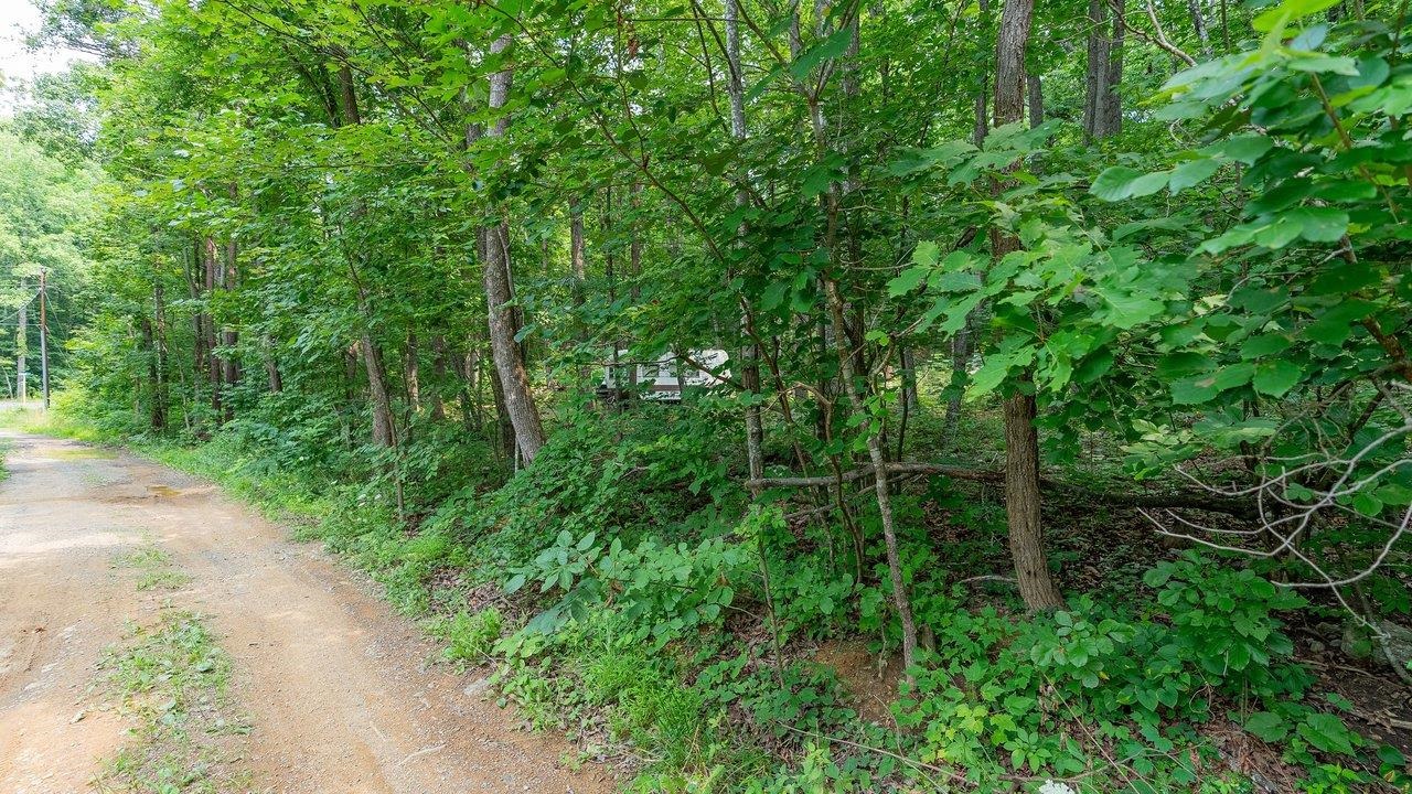 TBD DOGWOOD DR, NEW MARKET, Virginia 22844, ,Land,TBD DOGWOOD DR,680027 MLS # 680027 TBD DOGWOOD DR, NEW MARKET, Virginia 22844, ,Land,TBD DOGWOOD DR,680027 MLS # 680027