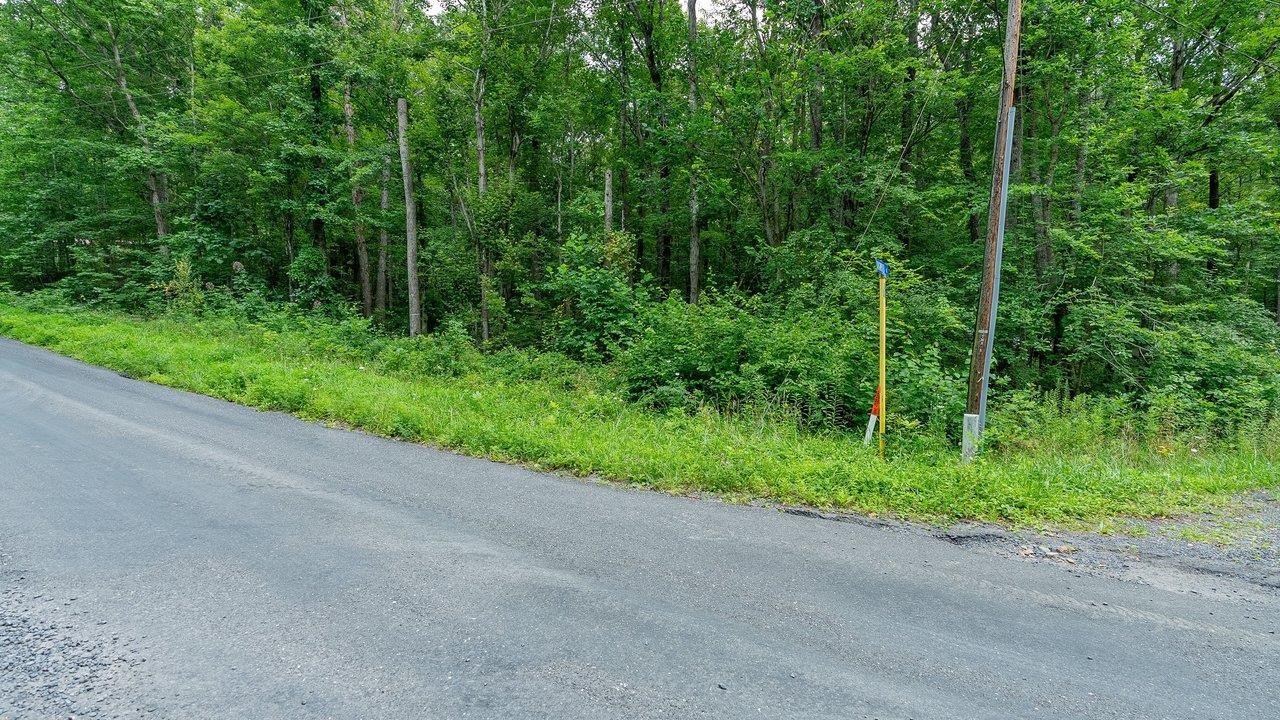 TBD DOGWOOD DR, NEW MARKET, Virginia 22844, ,Land,TBD DOGWOOD DR,680027 MLS # 680027 TBD DOGWOOD DR, NEW MARKET, Virginia 22844, ,Land,TBD DOGWOOD DR,680027 MLS # 680027