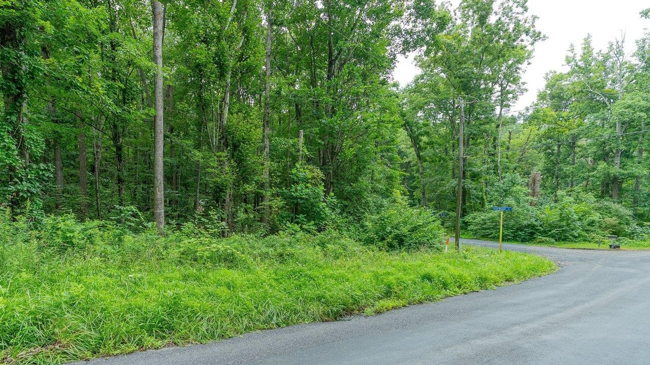 TBD DOGWOOD DR, NEW MARKET, Virginia 22844, ,Land,TBD DOGWOOD DR,680027 MLS # 680027 TBD DOGWOOD DR, NEW MARKET, Virginia 22844, ,Land,TBD DOGWOOD DR,680027 MLS # 680027