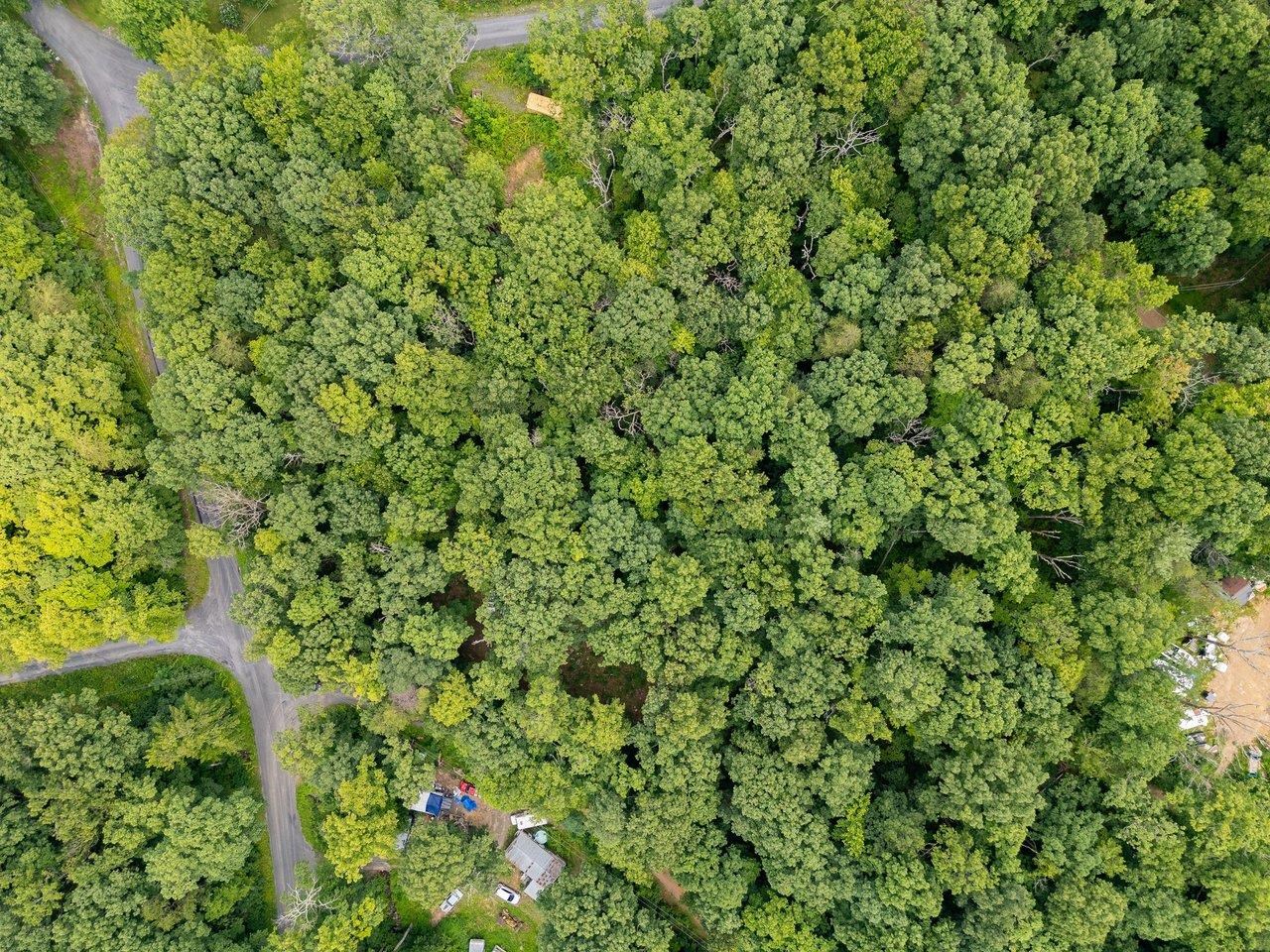 TBD DOGWOOD DR, NEW MARKET, Virginia 22844, ,Land,TBD DOGWOOD DR,680027 MLS # 680027 TBD DOGWOOD DR, NEW MARKET, Virginia 22844, ,Land,TBD DOGWOOD DR,680027 MLS # 680027
