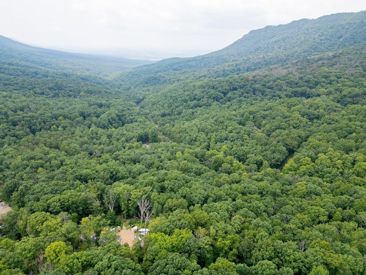TBD DOGWOOD DR, NEW MARKET, Virginia 22844, ,Land,TBD DOGWOOD DR,680027 MLS # 680027 TBD DOGWOOD DR, NEW MARKET, Virginia 22844, ,Land,TBD DOGWOOD DR,680027 MLS # 680027