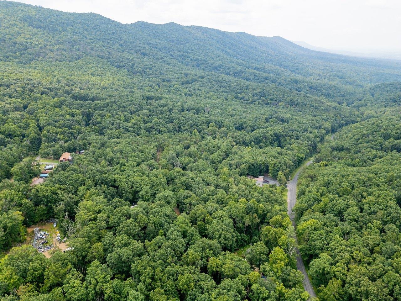TBD DOGWOOD DR, NEW MARKET, Virginia 22844, ,Land,TBD DOGWOOD DR,680027 MLS # 680027 TBD DOGWOOD DR, NEW MARKET, Virginia 22844, ,Land,TBD DOGWOOD DR,680027 MLS # 680027