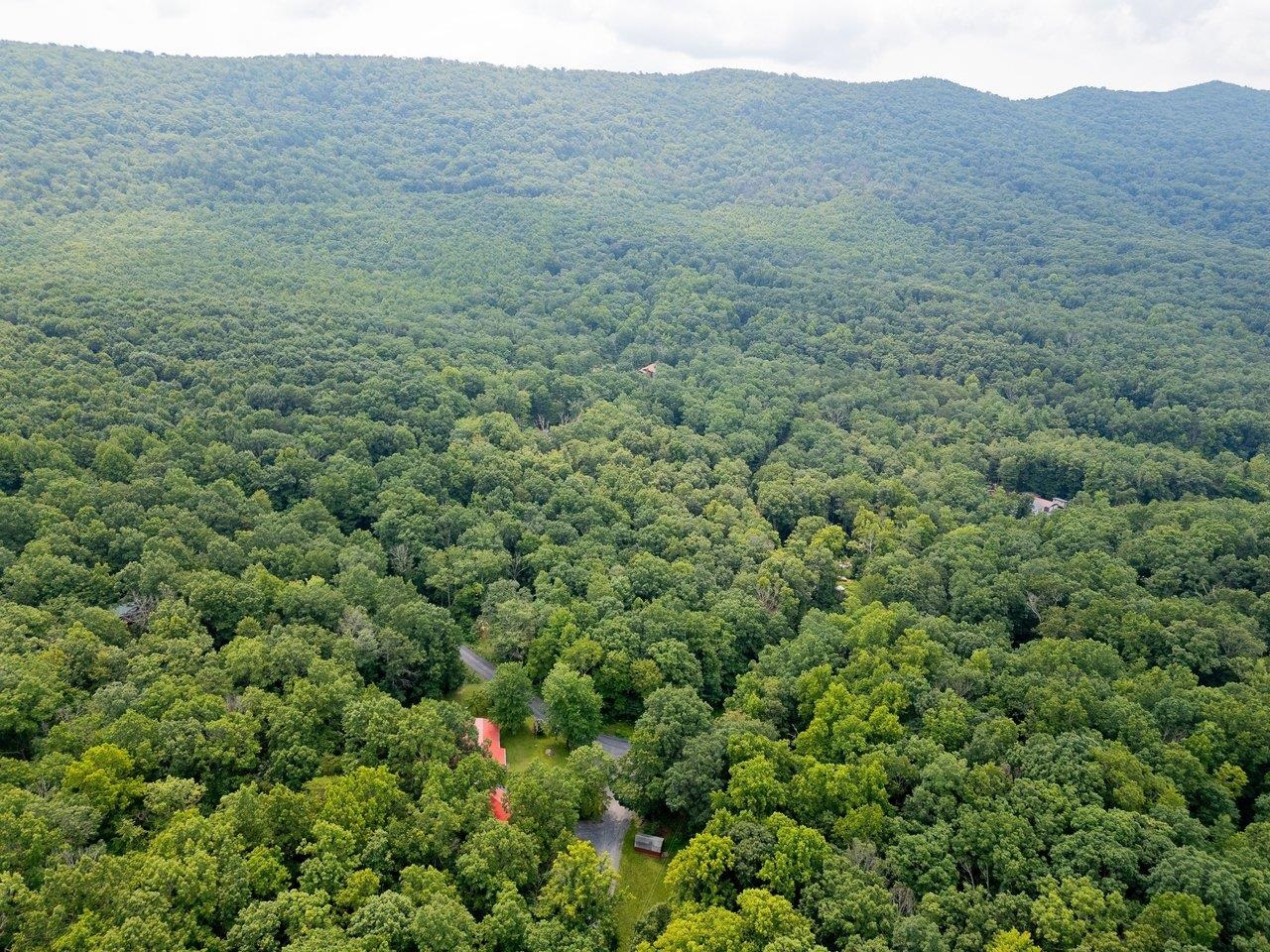 TBD DOGWOOD DR, NEW MARKET, Virginia 22844, ,Land,TBD DOGWOOD DR,680027 MLS # 680027 TBD DOGWOOD DR, NEW MARKET, Virginia 22844, ,Land,TBD DOGWOOD DR,680027 MLS # 680027