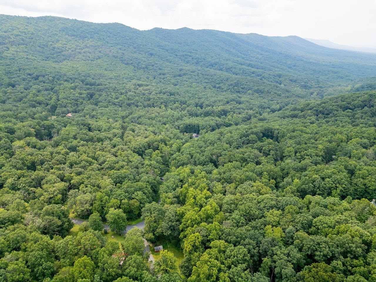 TBD DOGWOOD DR, NEW MARKET, Virginia 22844, ,Land,TBD DOGWOOD DR,680027 MLS # 680027 TBD DOGWOOD DR, NEW MARKET, Virginia 22844, ,Land,TBD DOGWOOD DR,680027 MLS # 680027