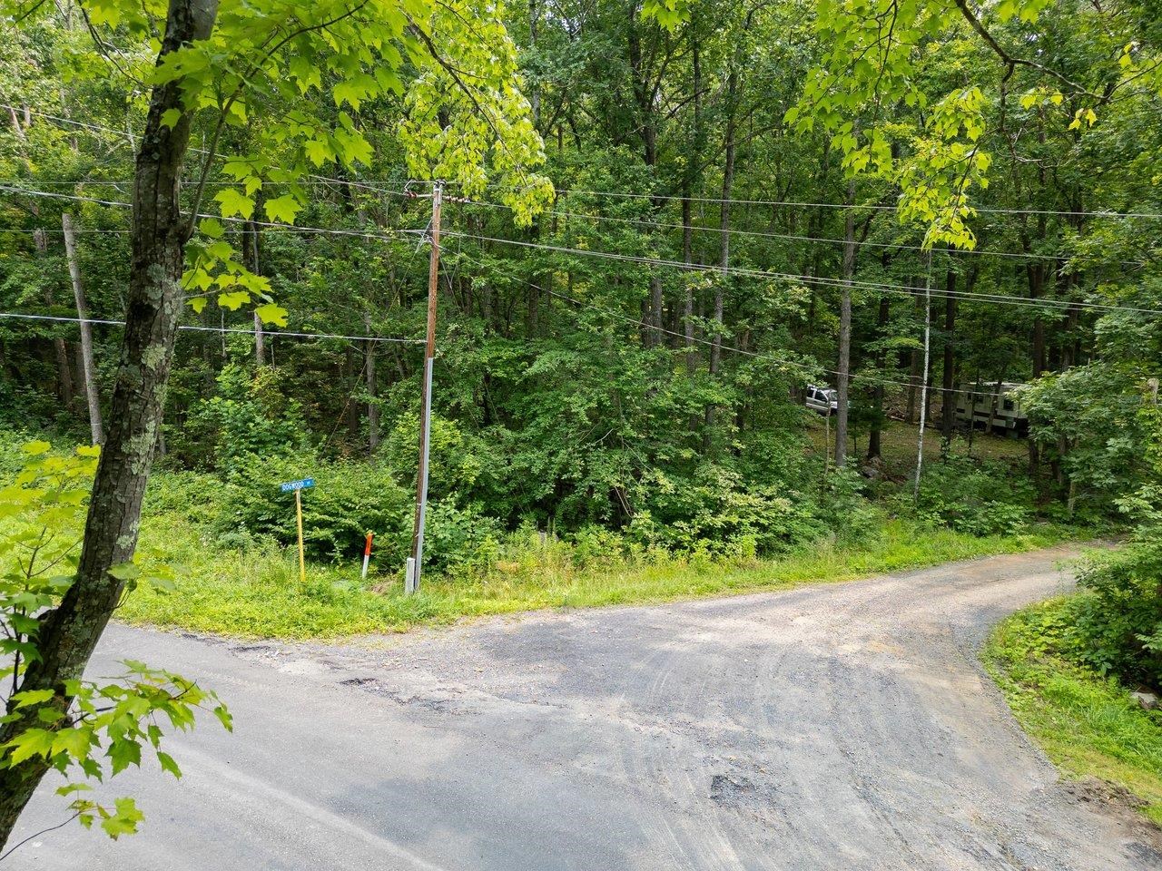 TBD DOGWOOD DR, NEW MARKET, Virginia 22844, ,Land,TBD DOGWOOD DR,680027 MLS # 680027 TBD DOGWOOD DR, NEW MARKET, Virginia 22844, ,Land,TBD DOGWOOD DR,680027 MLS # 680027