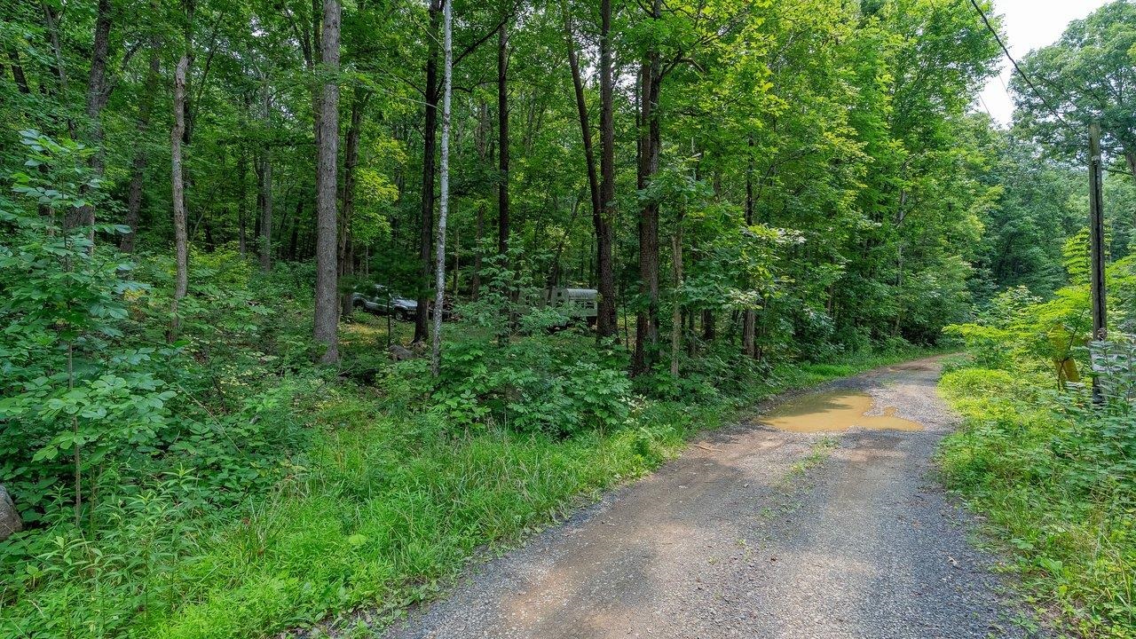 TBD DOGWOOD DR, NEW MARKET, Virginia 22844, ,Land,TBD DOGWOOD DR,680027 MLS # 680027 TBD DOGWOOD DR, NEW MARKET, Virginia 22844, ,Land,TBD DOGWOOD DR,680027 MLS # 680027