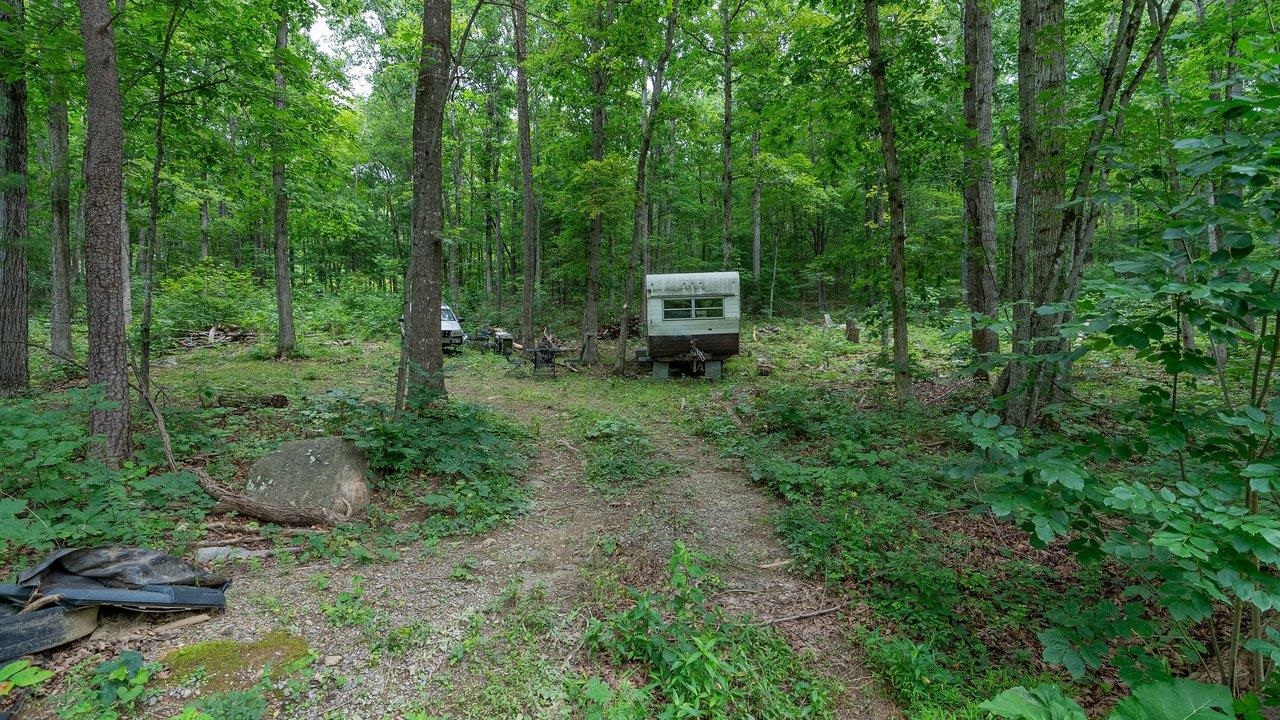 TBD DOGWOOD DR, NEW MARKET, Virginia 22844, ,Land,TBD DOGWOOD DR,680027 MLS # 680027 TBD DOGWOOD DR, NEW MARKET, Virginia 22844, ,Land,TBD DOGWOOD DR,680027 MLS # 680027