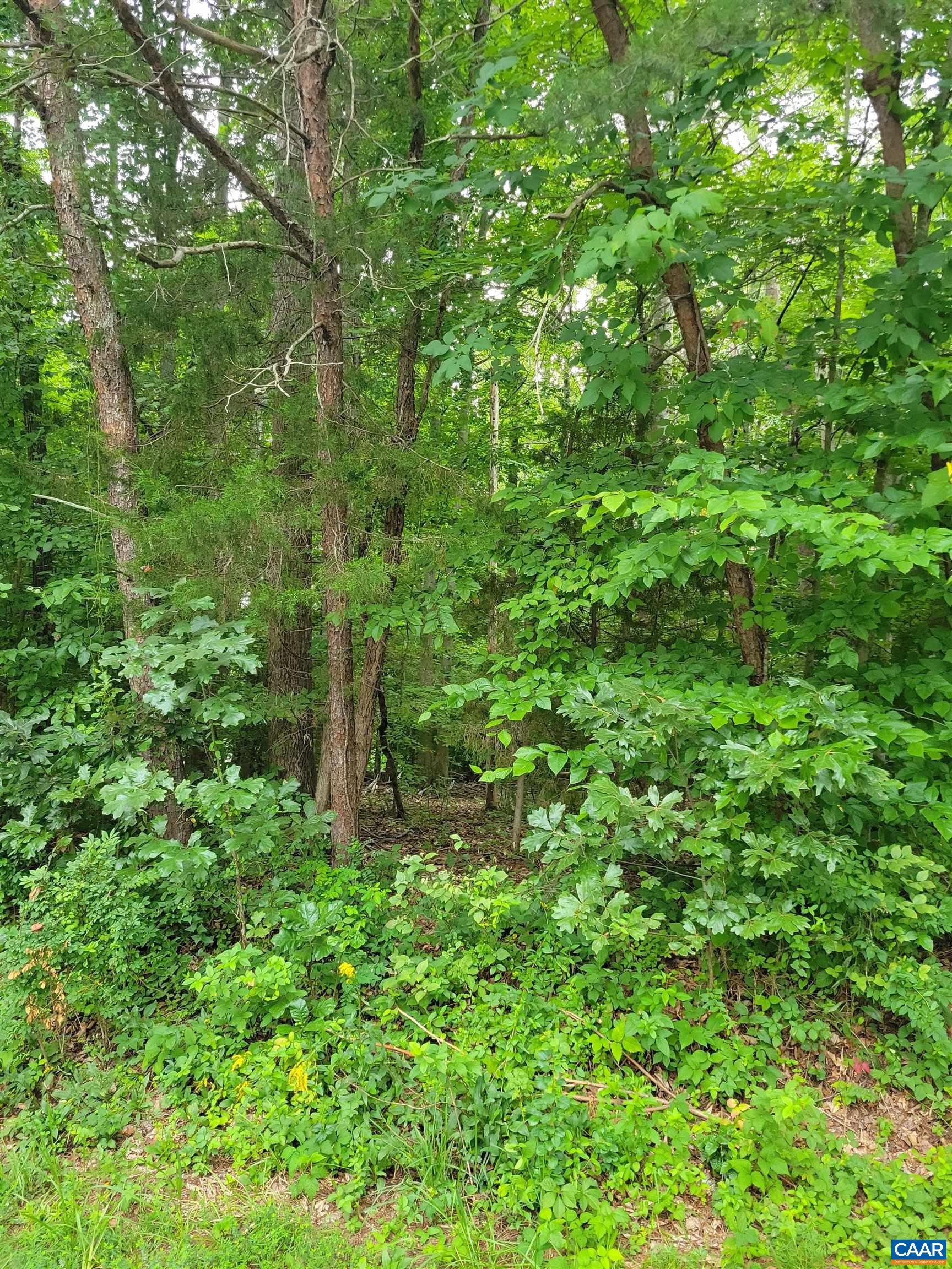 0 JENNINGS DR, PALMYRA, Virginia 22963, ,Land,0 JENNINGS DR,680030 MLS # 680030 0 JENNINGS DR, PALMYRA, Virginia 22963, ,Land,0 JENNINGS DR,680030 MLS # 680030